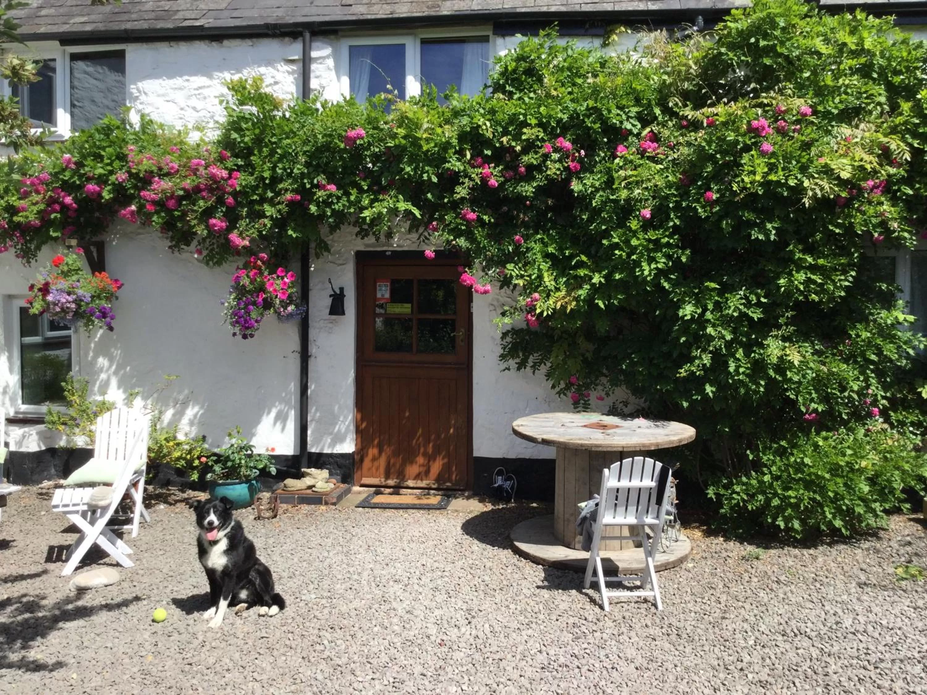 Property building, Pets in Steps Farmhouse B&B