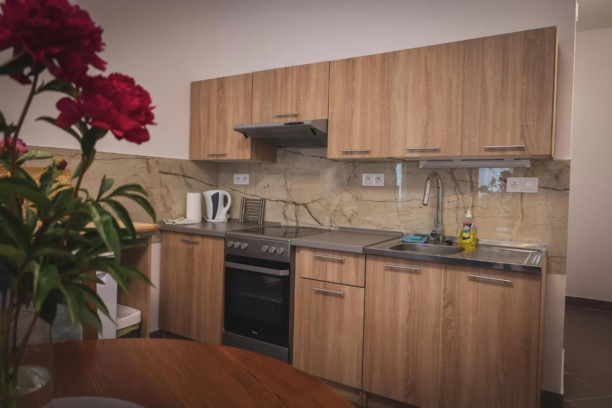 Kitchen or kitchenette in Hotel Apartment Faraon