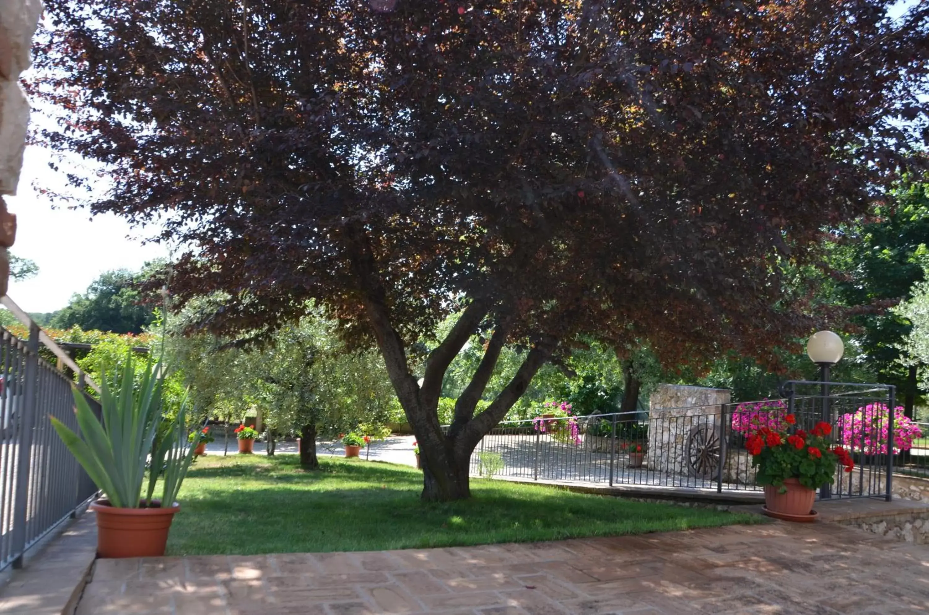 Garden view, Garden in Casale Santa Caterina