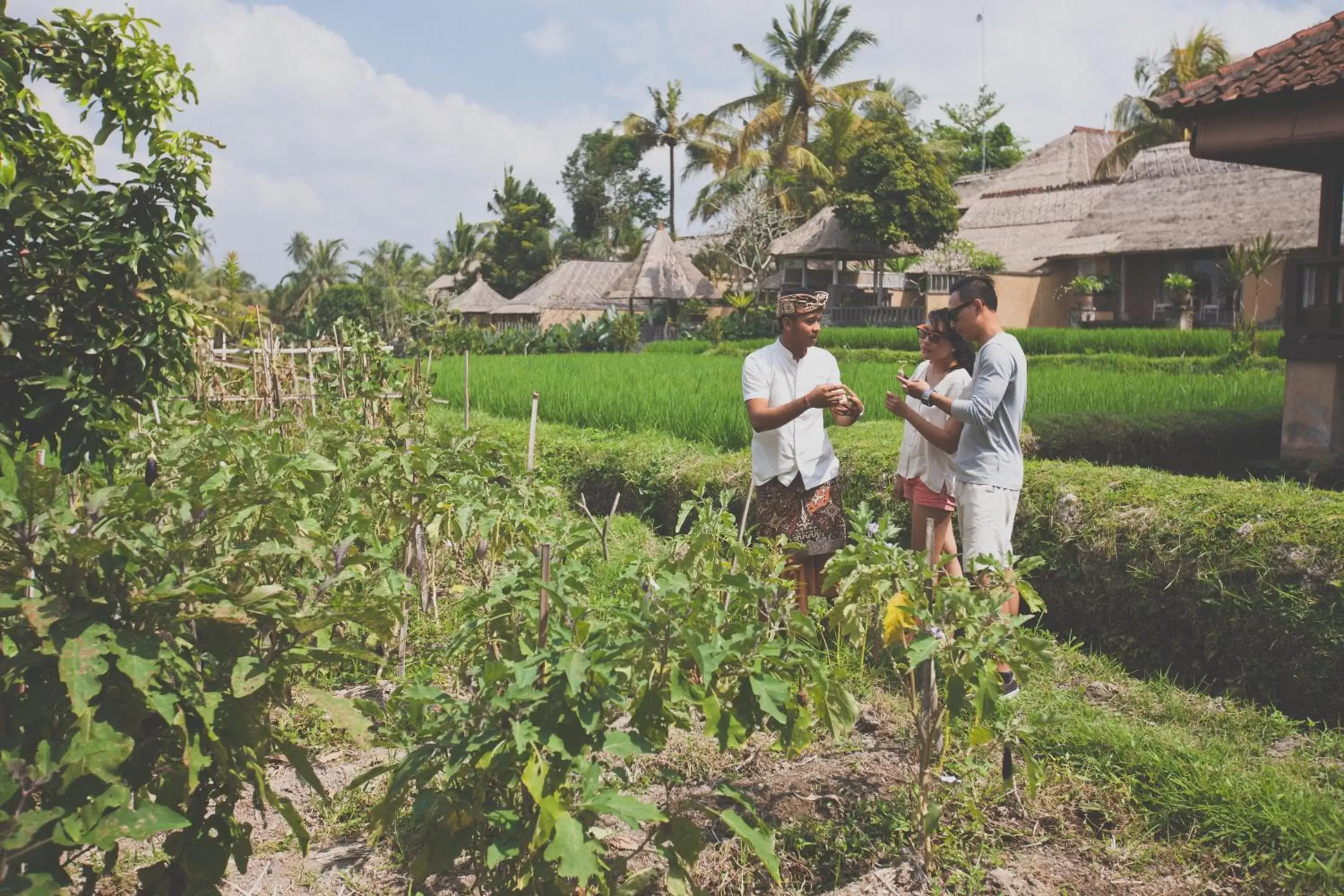 Garden, Family in Wapa di Ume Ubud