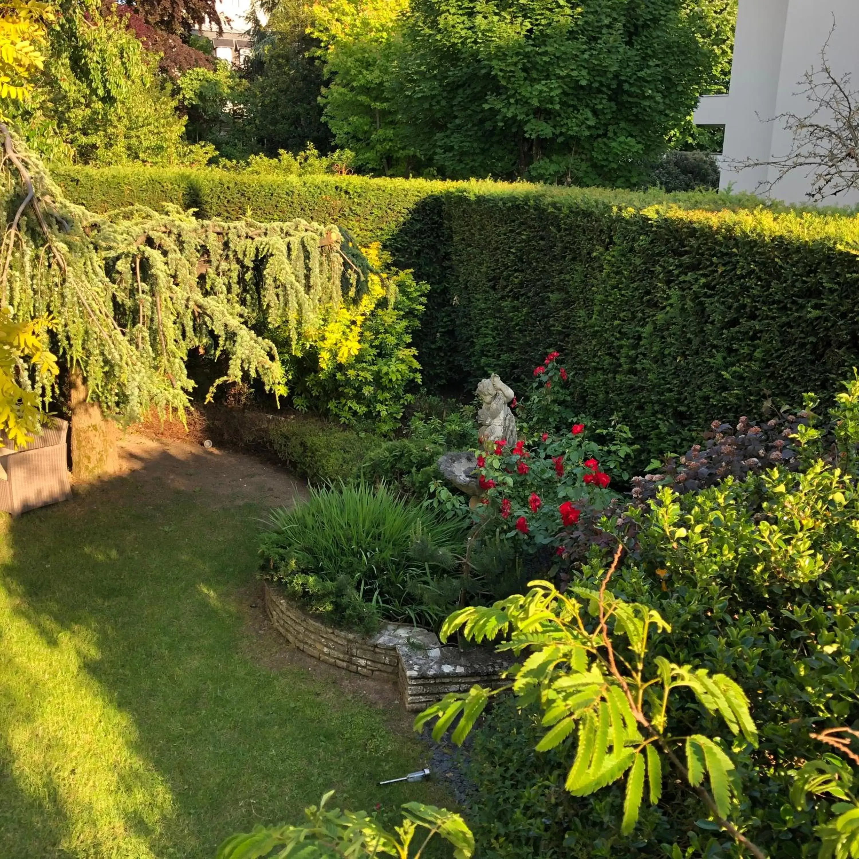 Garden in Hotel Des Cedres