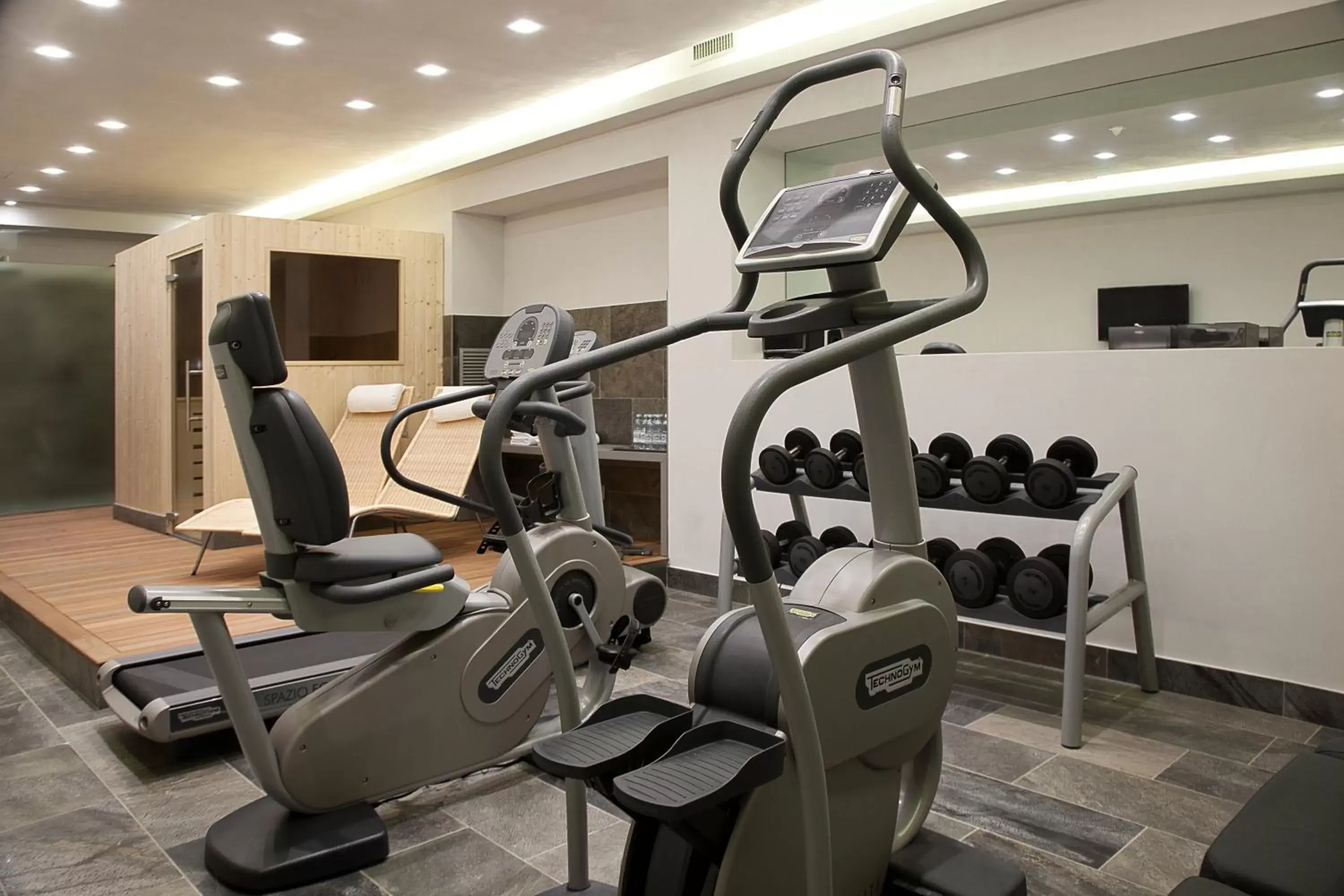 Fitness centre/facilities, Fitness Center/Facilities in Hotel Di Varese