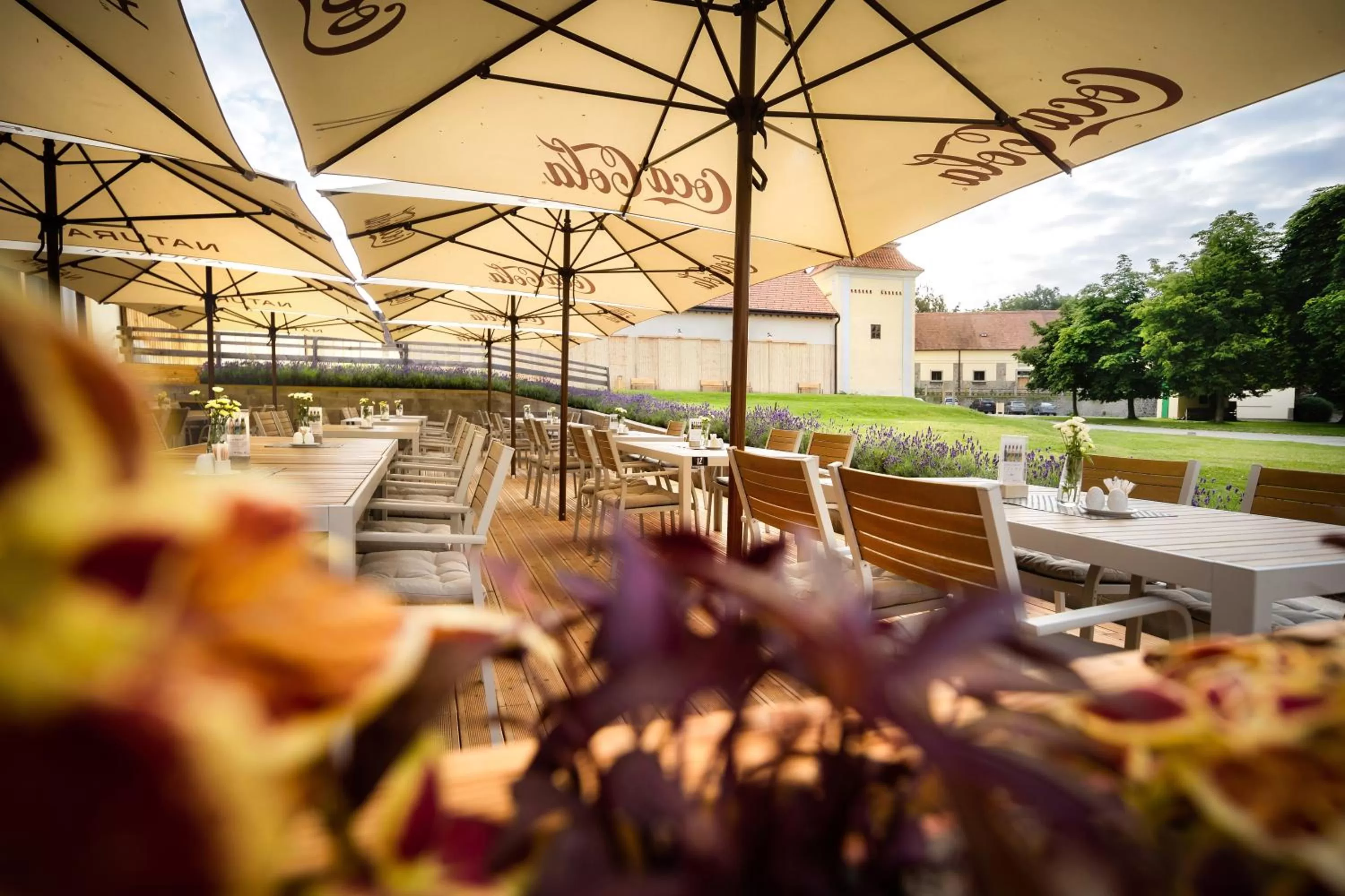 Restaurant/places to eat in Penzion Panský dvůr Telč