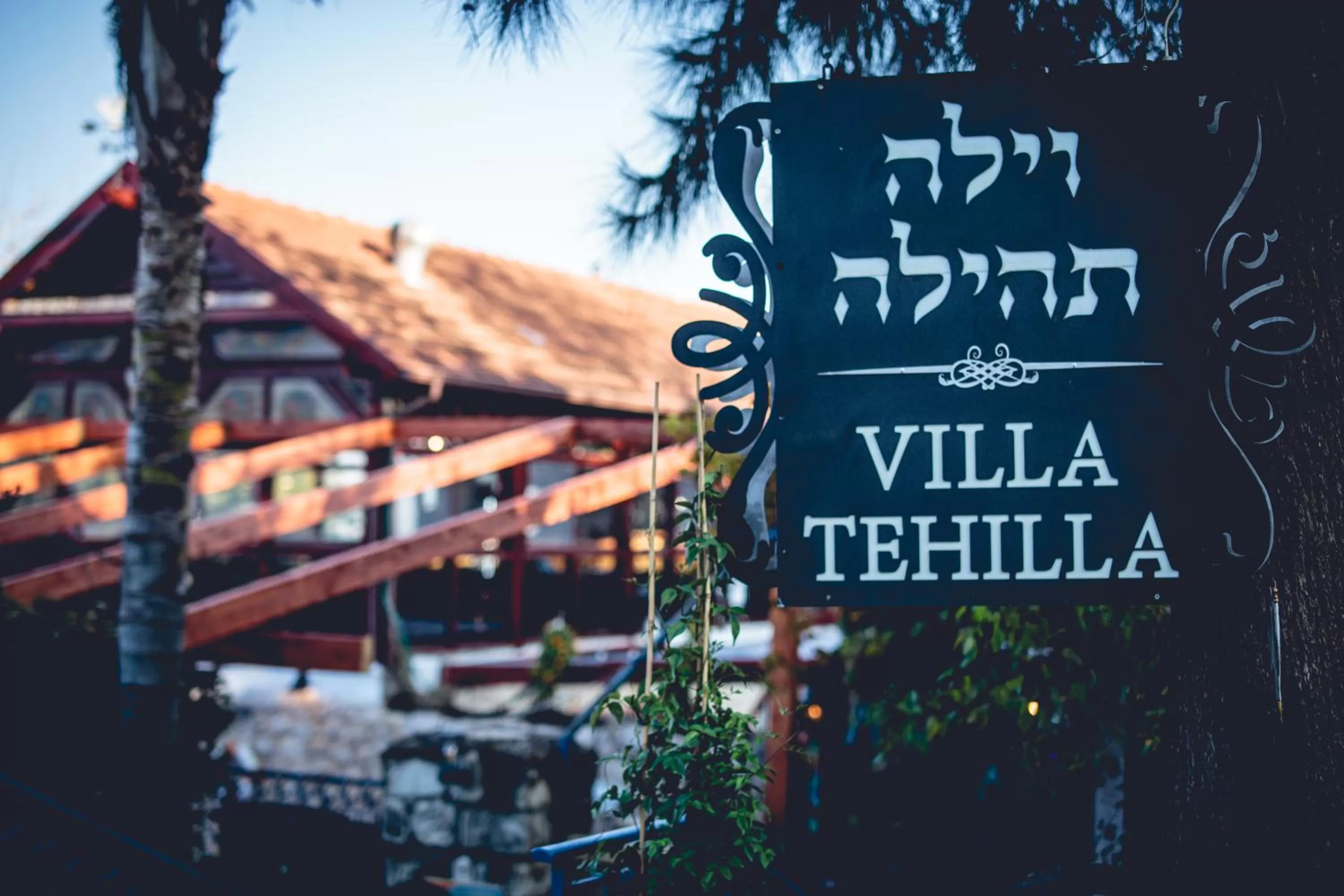 Day in וילה תהילה המחודש - The new Villa Tehila