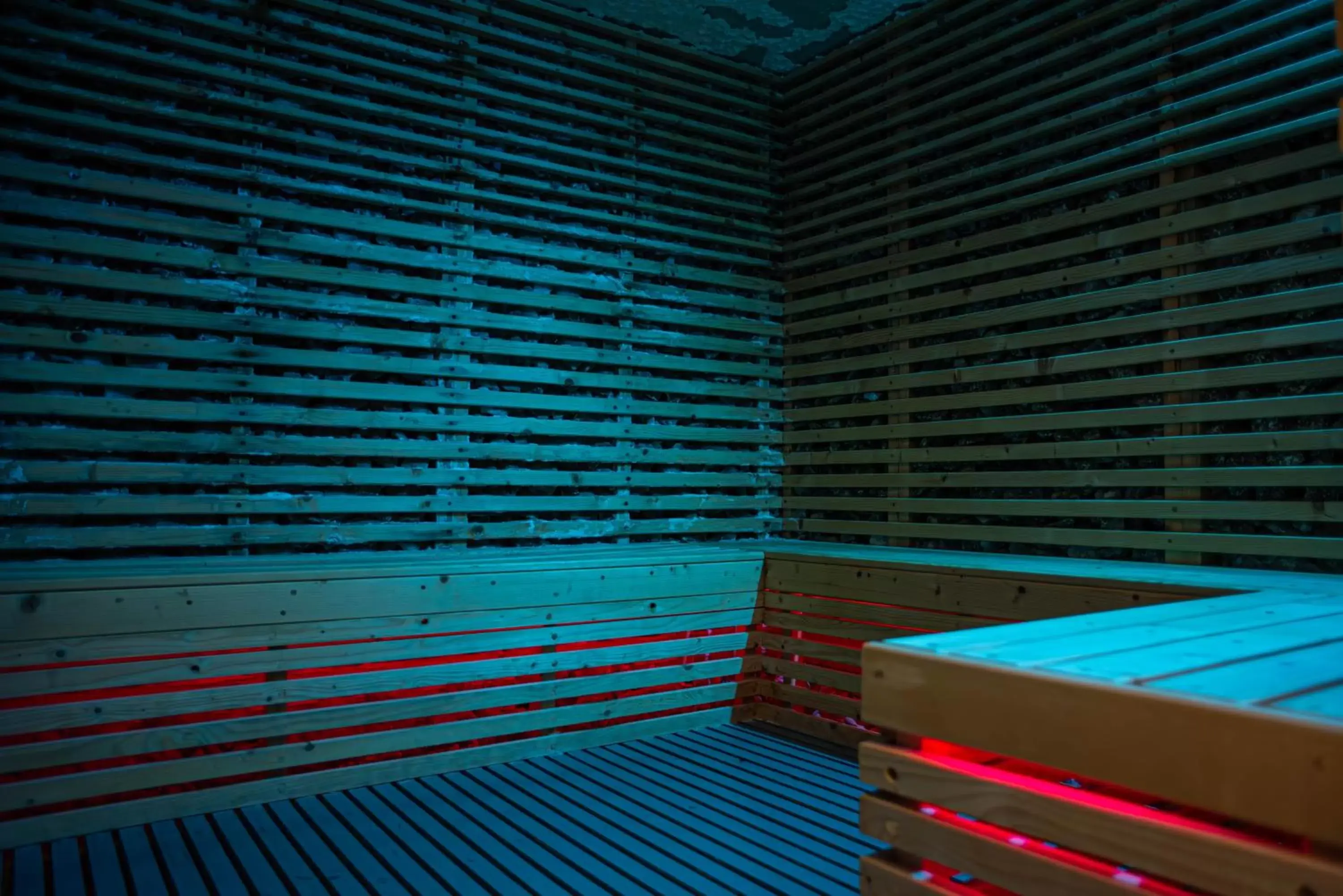 Sauna in Hotel Carpathia