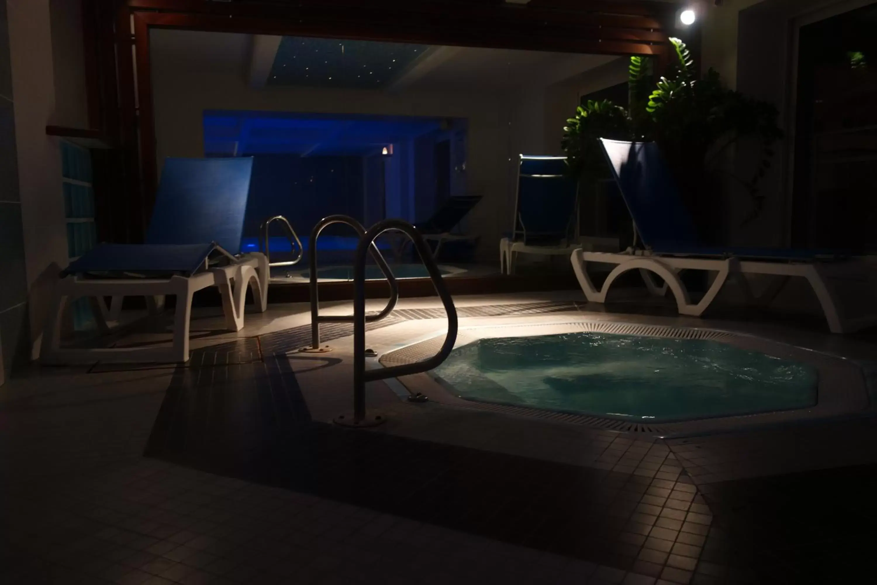 Hot Tub, Swimming Pool in Mercure Epinal Centre