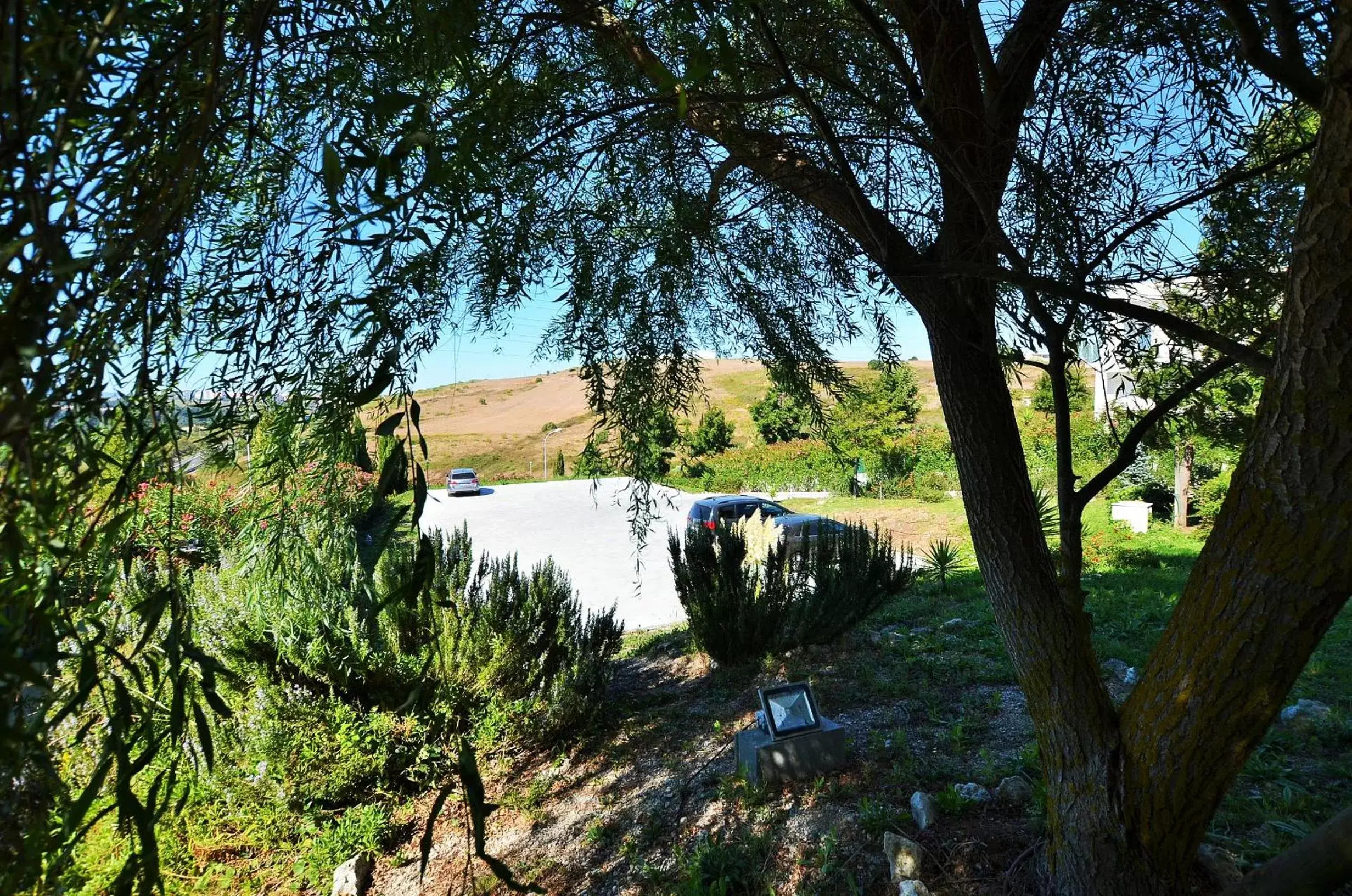 Natural landscape in HILLTOP OASIS Lisboa Oeiras