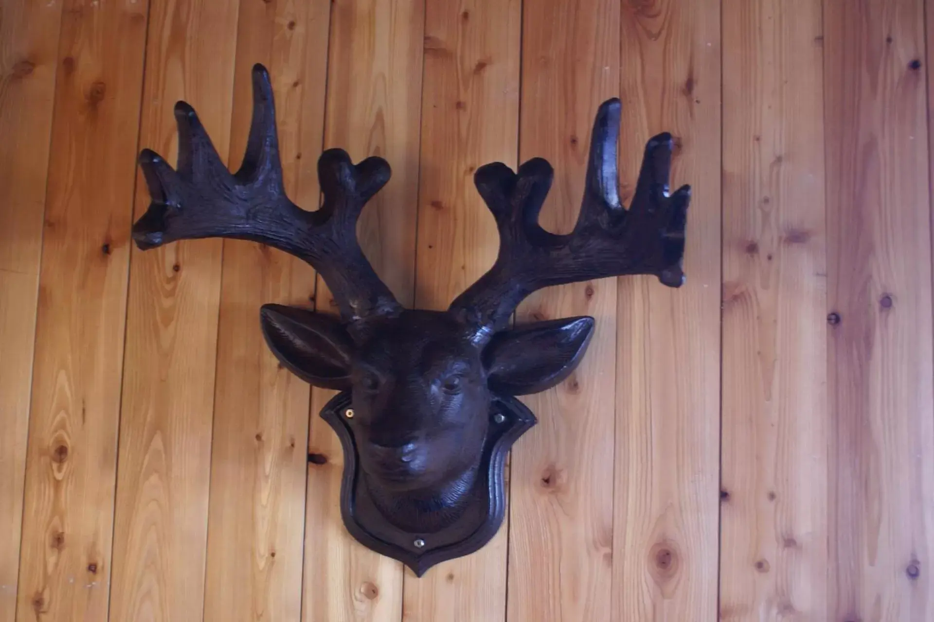 Decorative detail in Alpenglow Bed and Breakfast