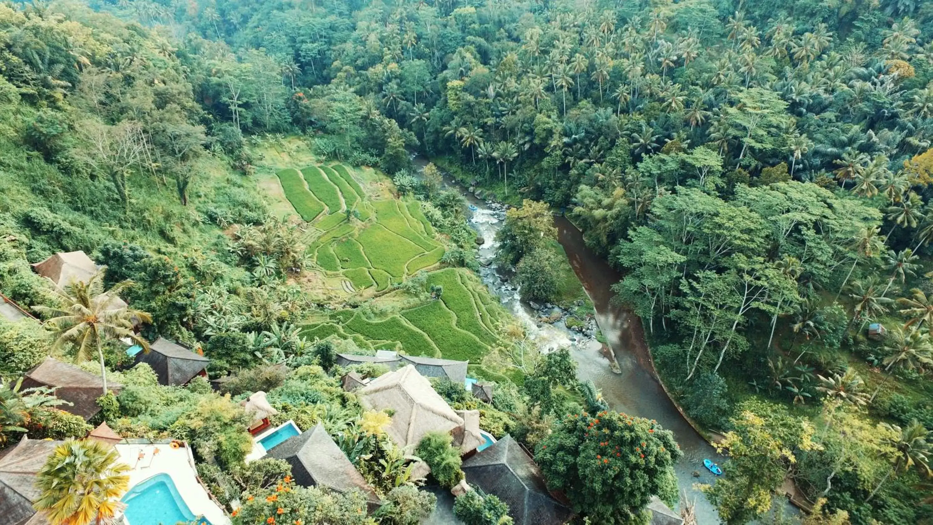 View (from property/room), Bird's-eye View in Kupu Kupu Barong Villas and Tree Spa by L’OCCITANE