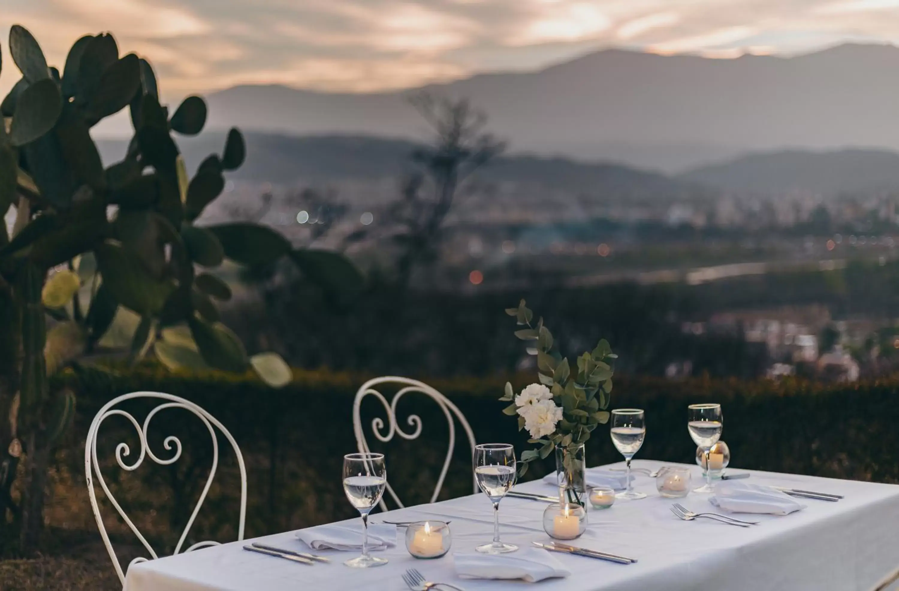 Restaurant/Places to Eat in Hotel Altos de la Viña