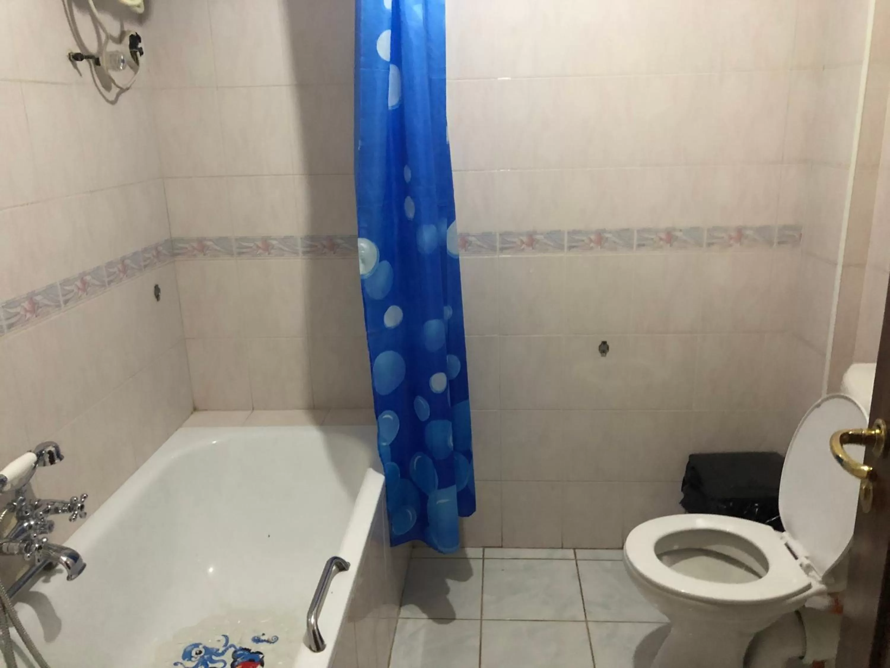 Bathroom in Maple Leaf Korean Hotel