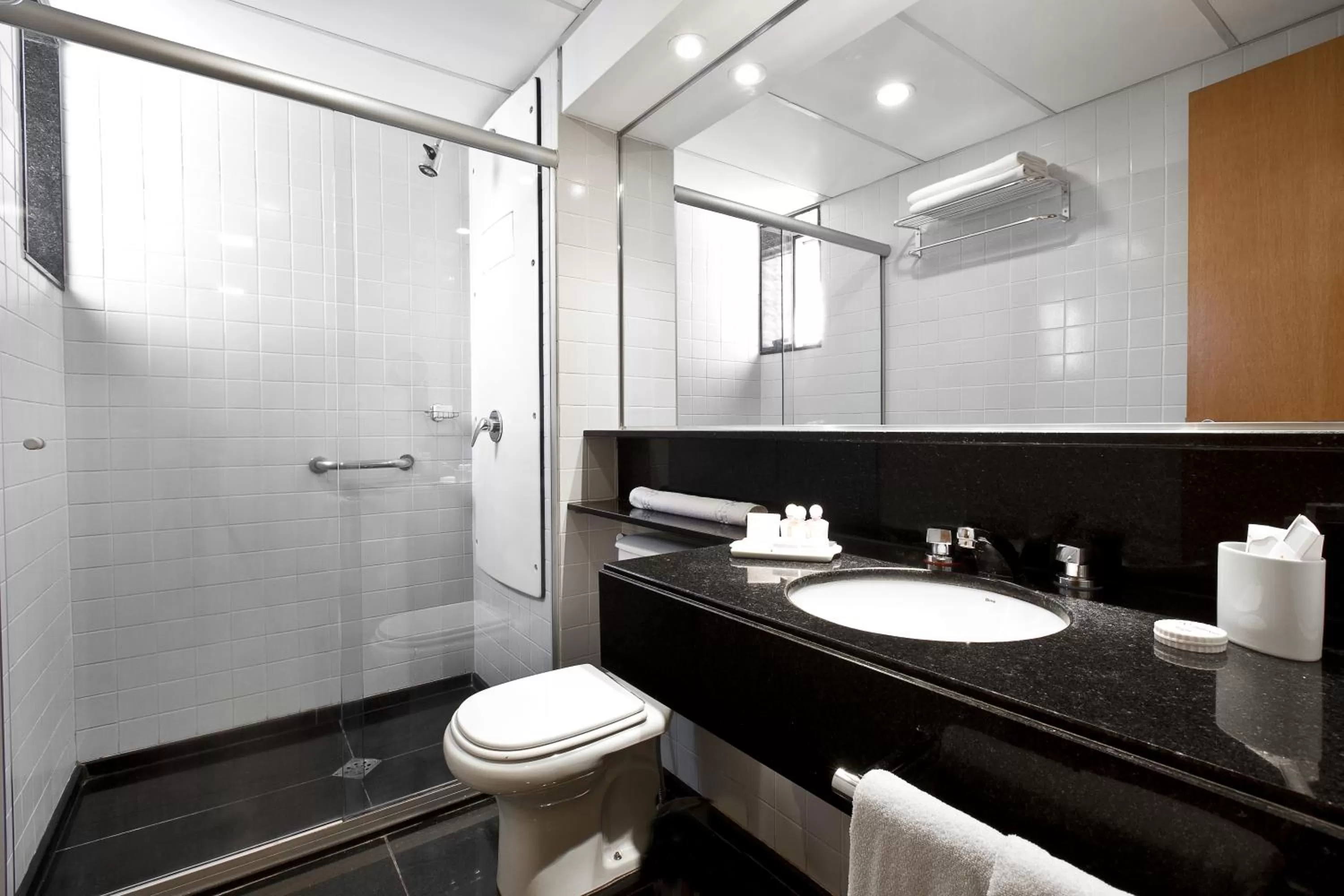 Bathroom in H2 Platinum Lourdes