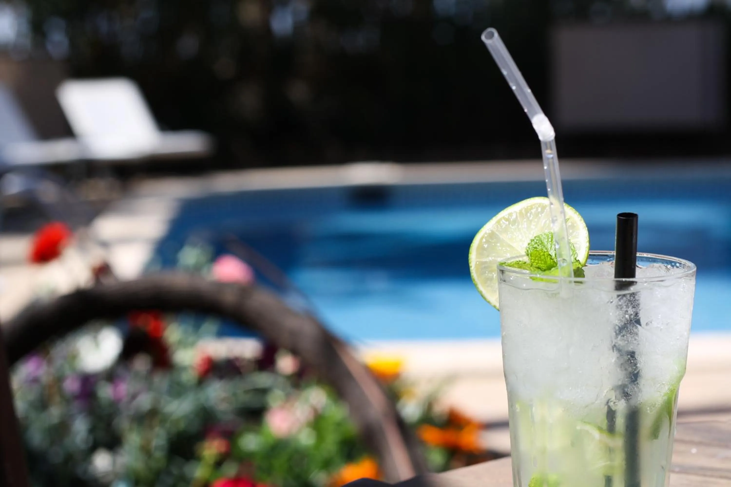 Garden in Hotel Ciutat Jardi