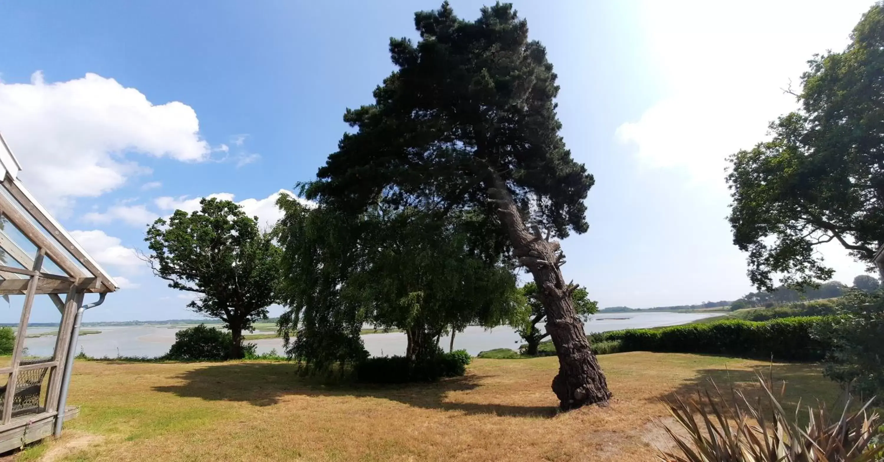 View (from property/room), Garden in River View