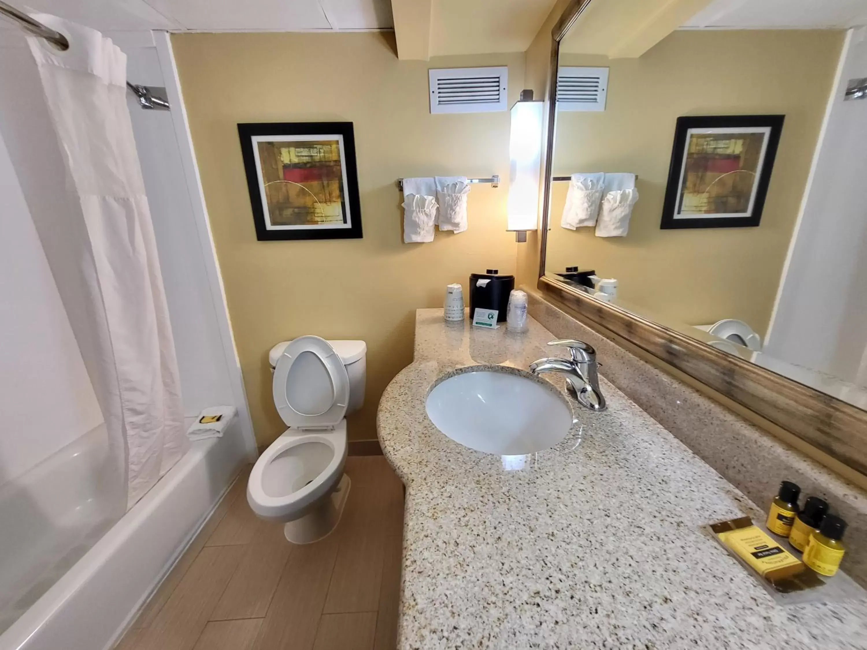 Bathroom in Wingate by Wyndham Greensboro-Coliseum