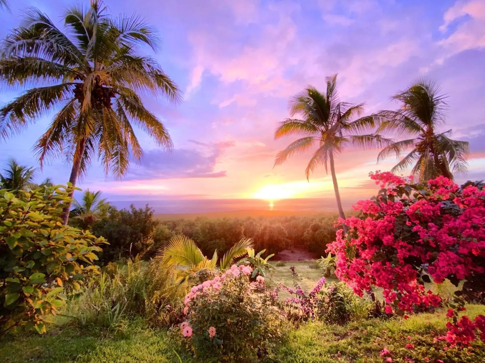 Garden in Kona Bayview Inn