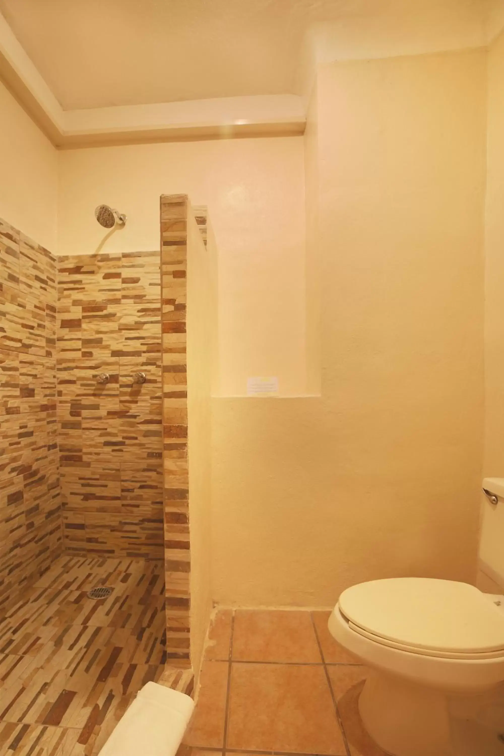 Shower, Bathroom in Hotel Riviera Caribe Maya