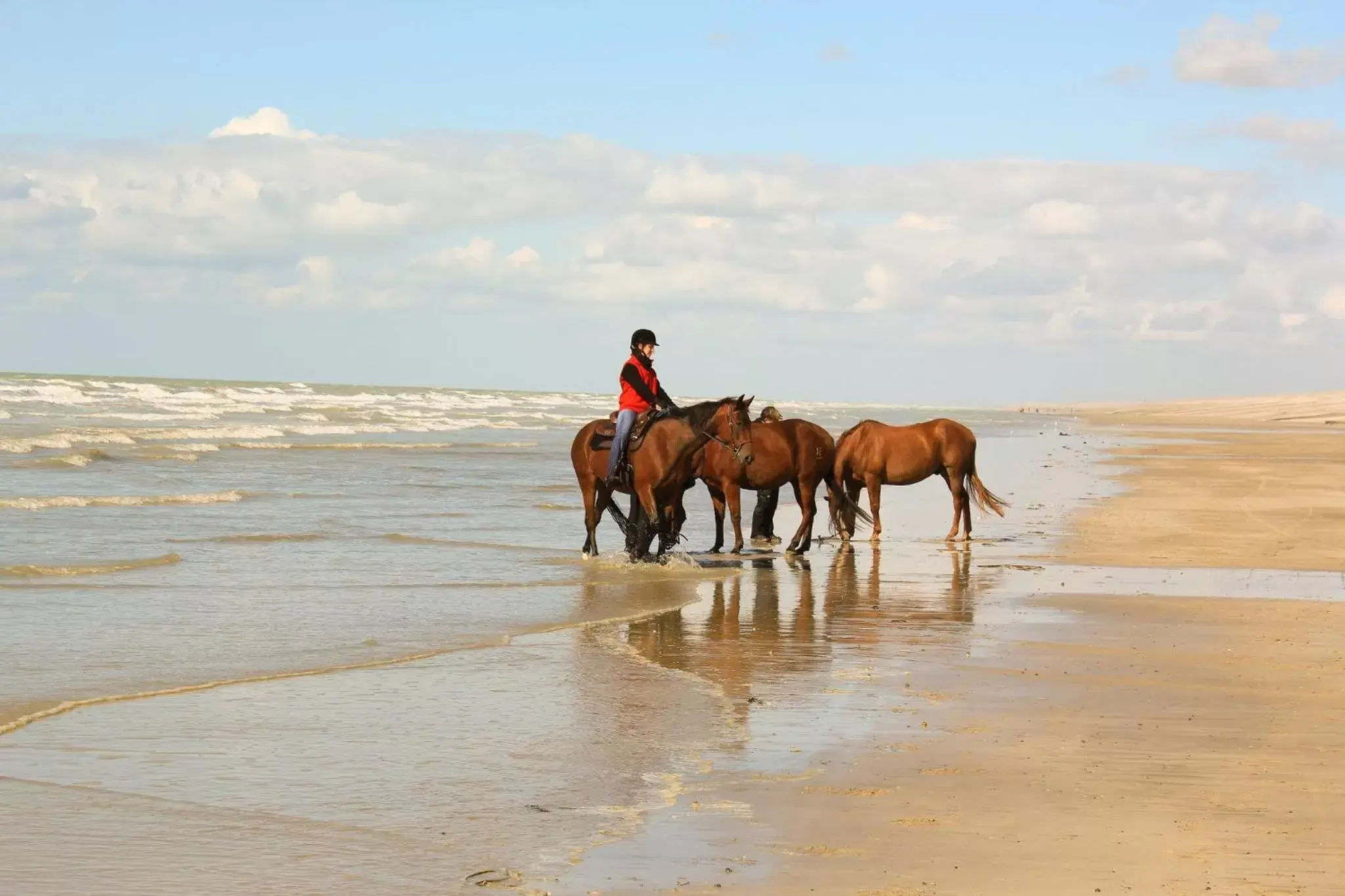 Area and facilities, Horseback Riding in Holiday Inn Express Amiens, an IHG Hotel