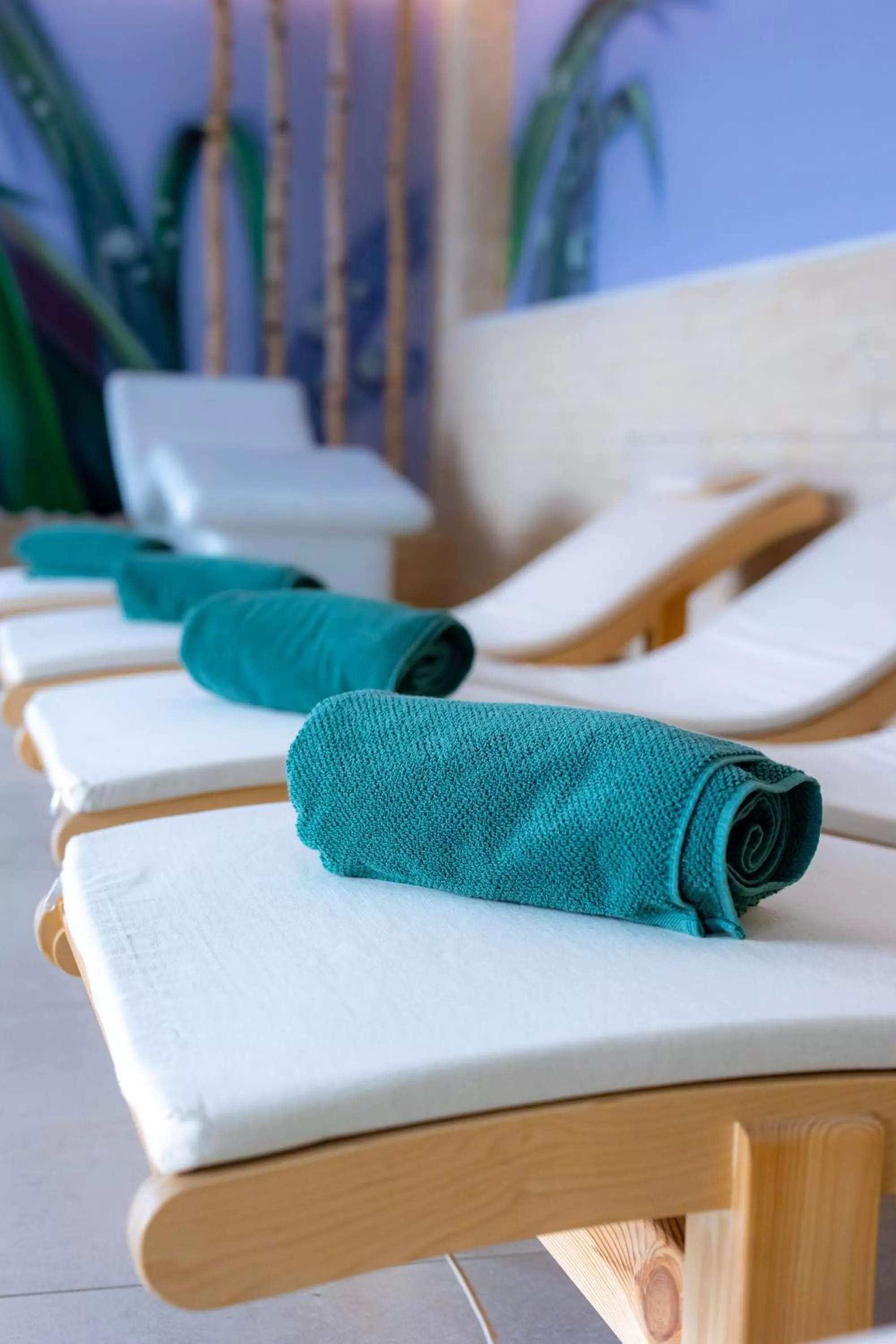 Spa and wellness centre/facilities in Hotel Belmont