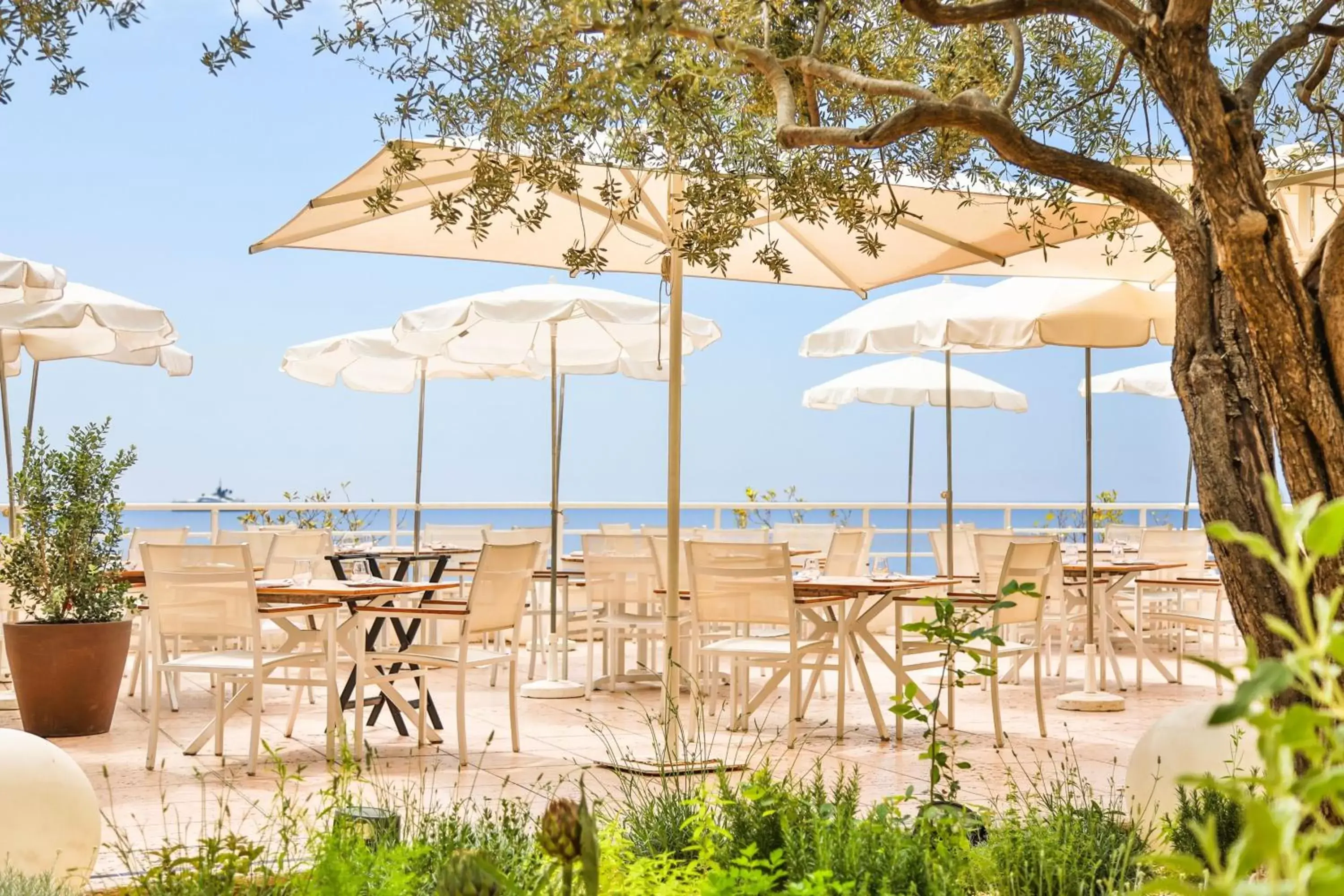 Restaurant/places to eat in Le Méridien Beach Plaza