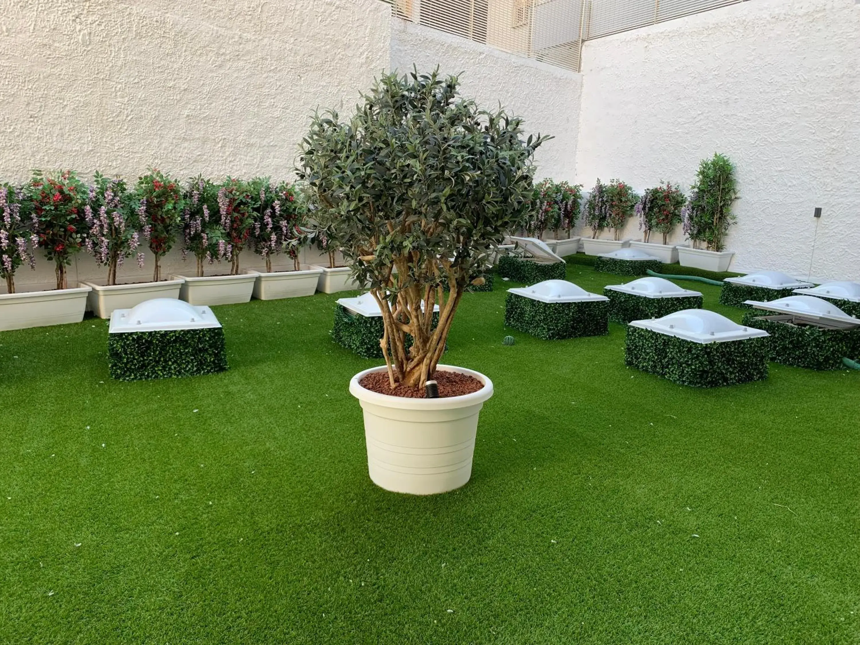 Inner courtyard view, Garden in Hotel El Balear