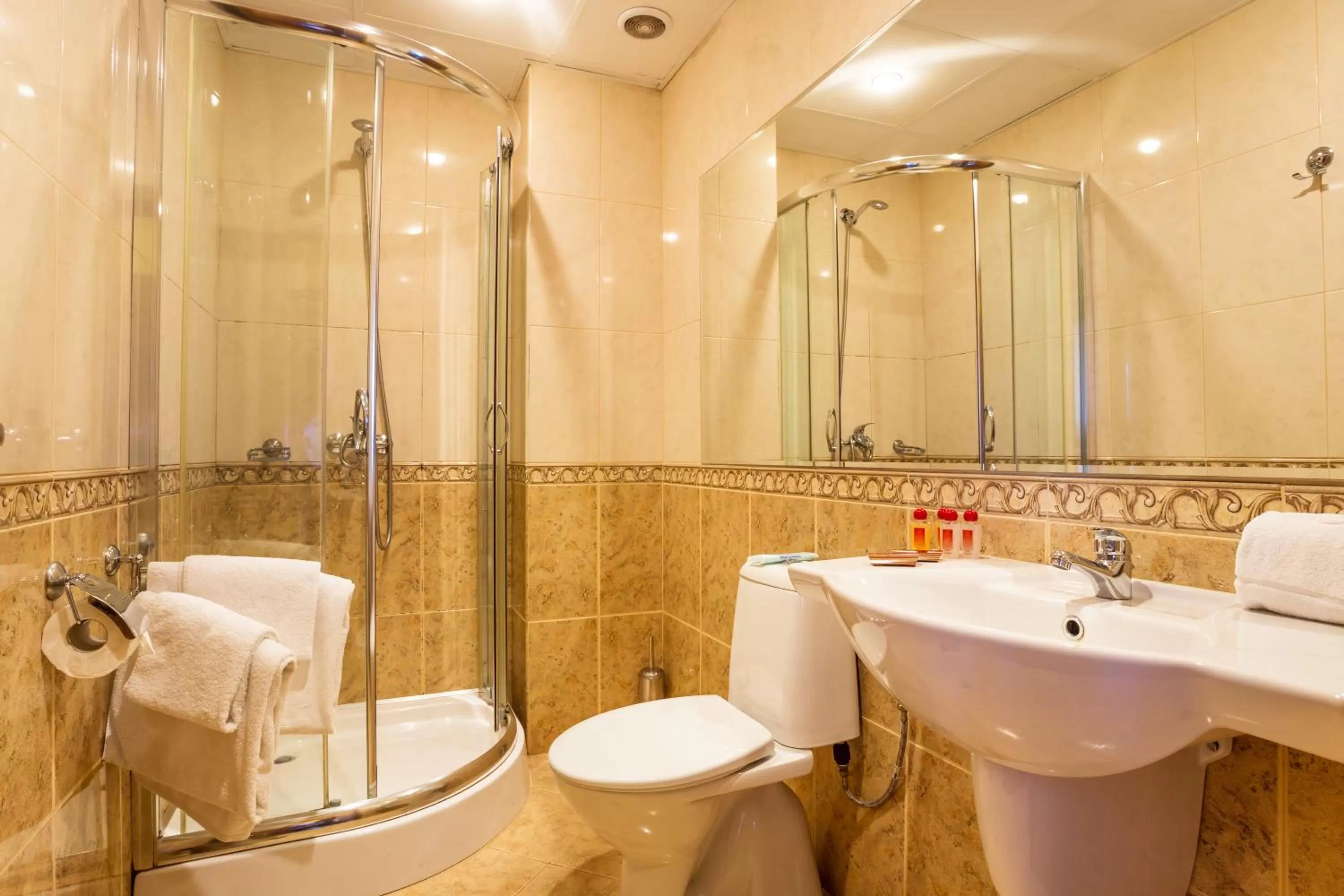 Bathroom in Chateau Montagne Hotel Troyan