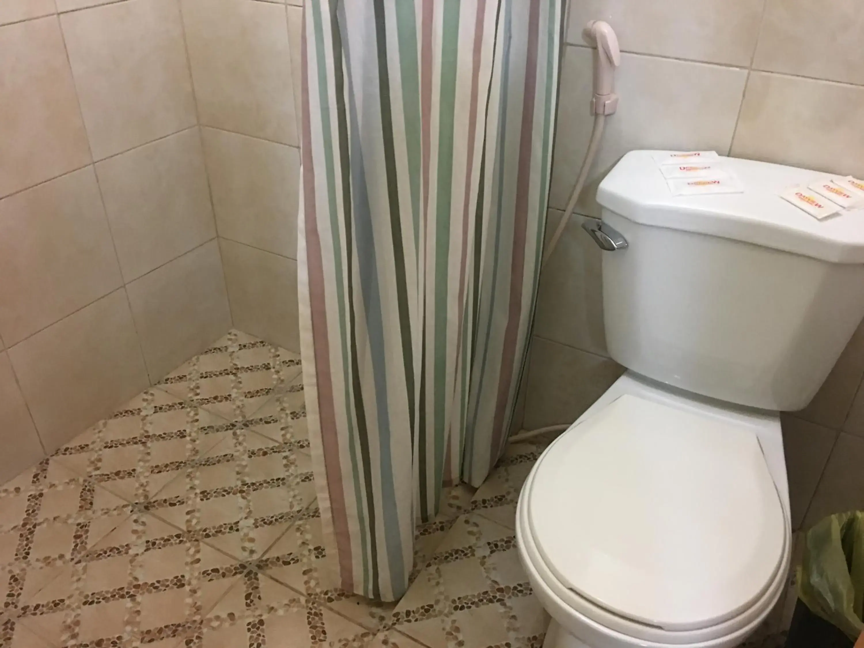 Shower, Bathroom in Dayview Tourist Home