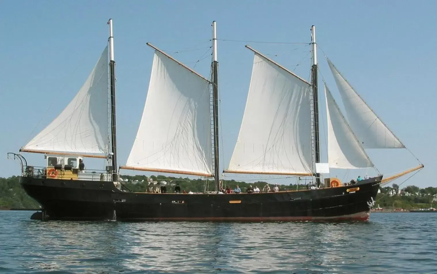 Nearby landmark, Windsurfing in Halifax Marriott Harbourfront Hotel