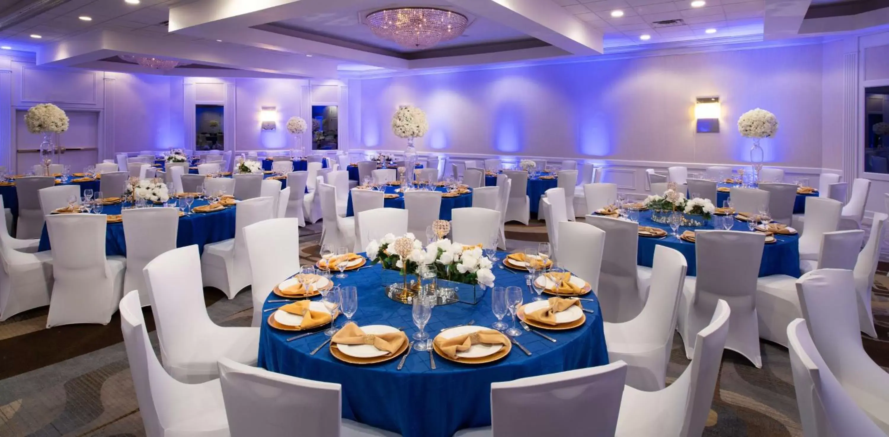 Meeting/conference room, Banquet Facilities in Hilton Arlington National Landing