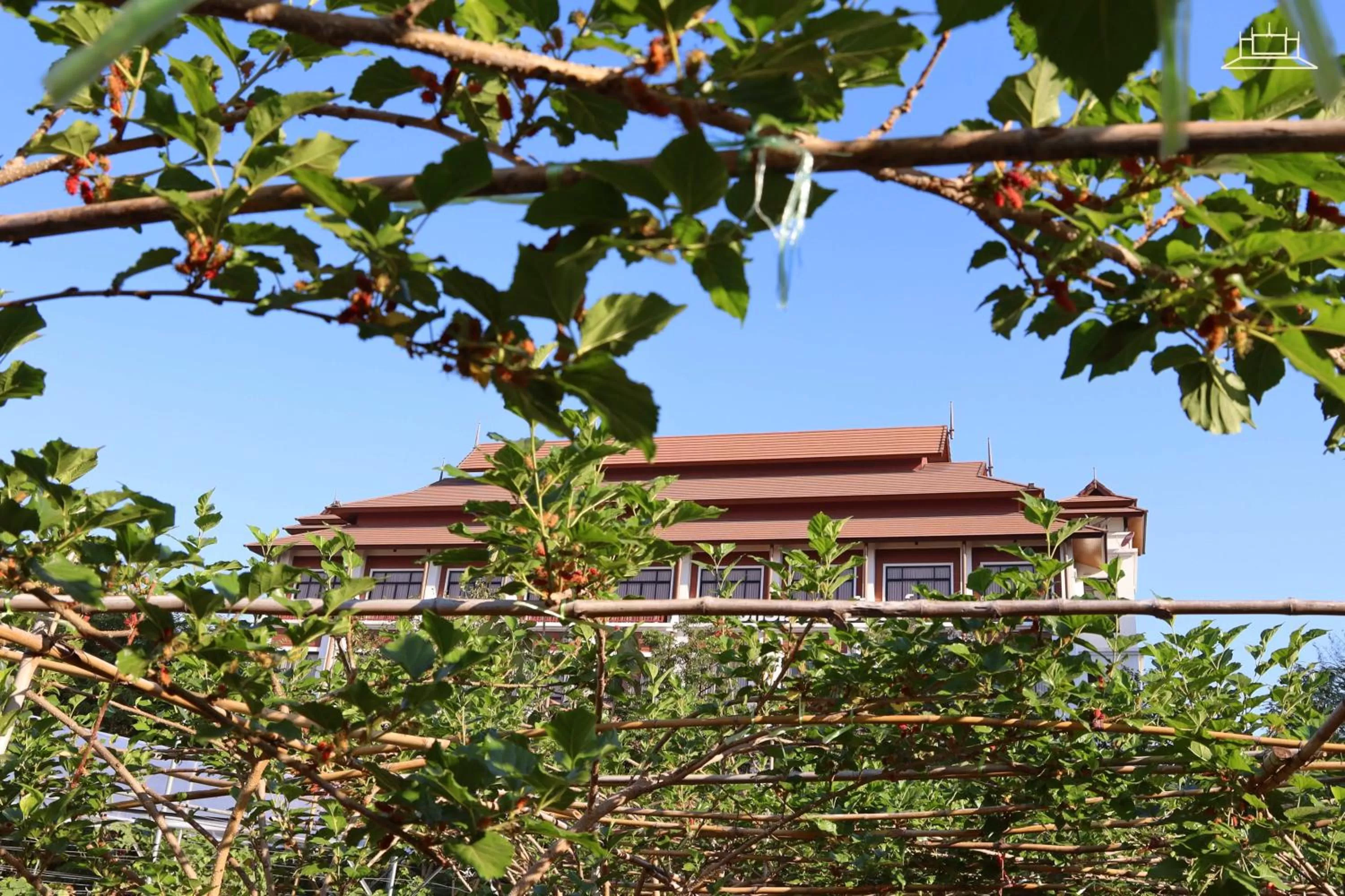 Natural landscape in The Choice Hotel - Adults Only