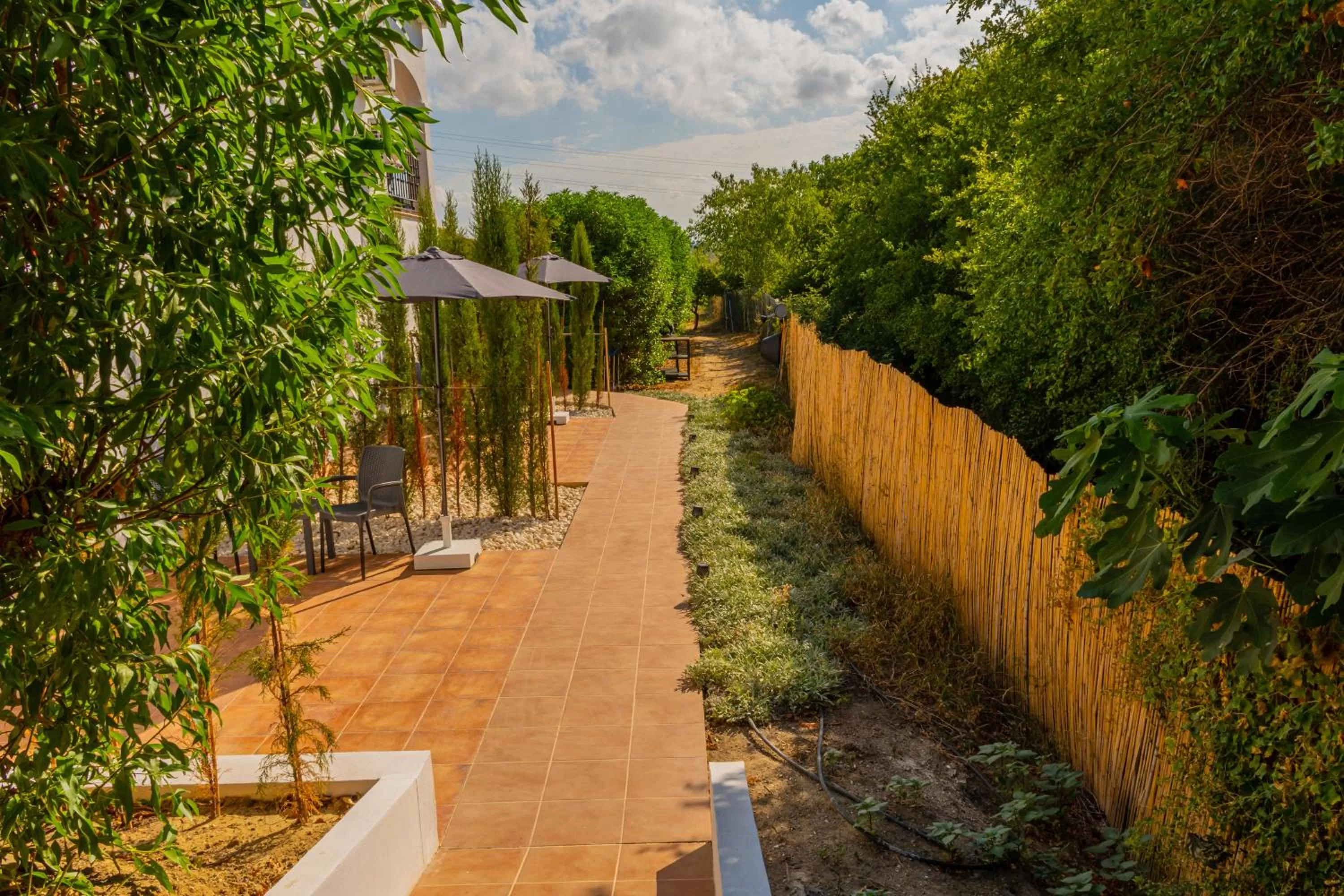 Balcony/Terrace in Casa de Ámbar, Bed&Breakfast