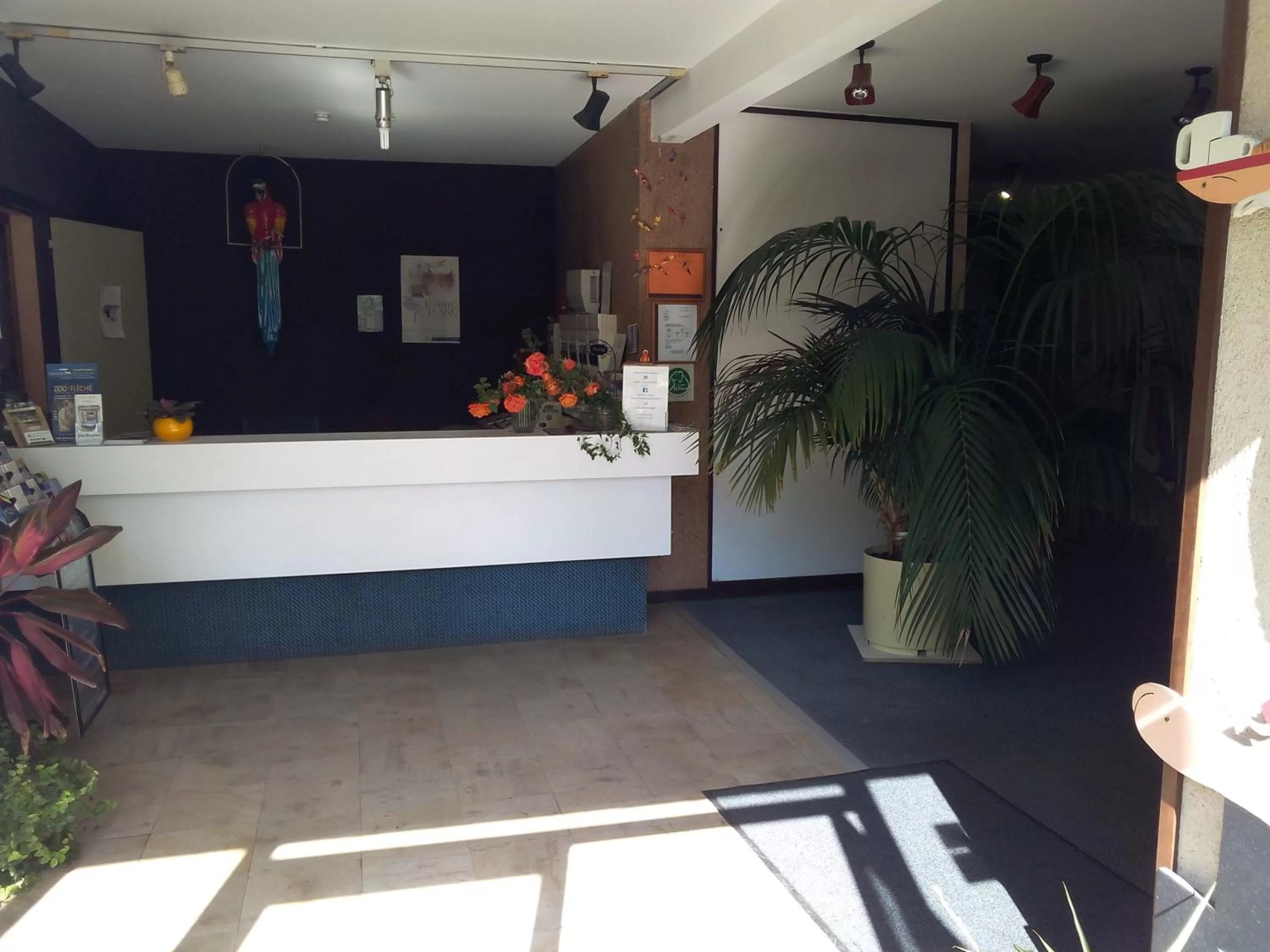 Lobby or reception in Jackotel