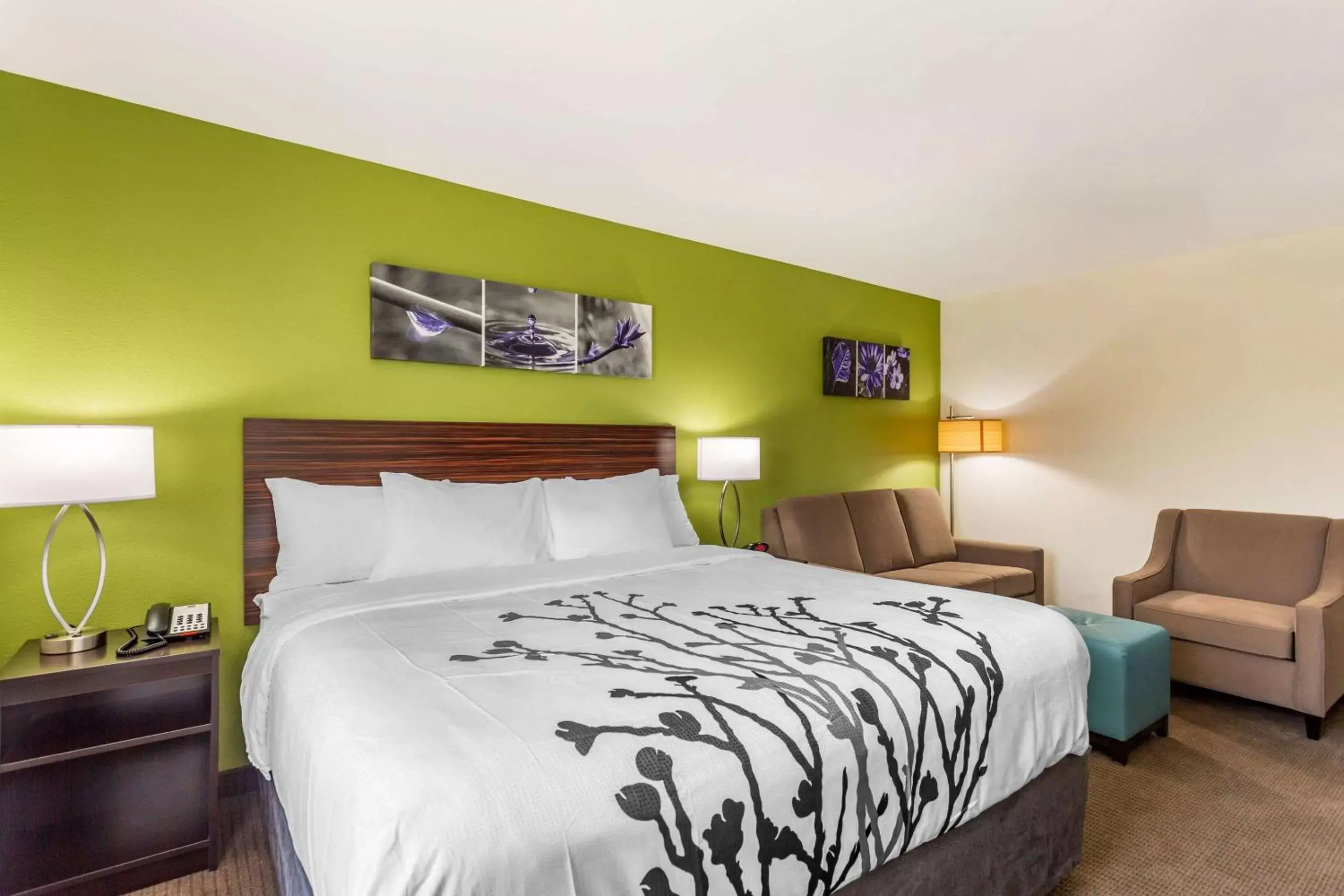 Photo of the whole room, Bed in Sleep Inn & Suites Gallatin - Nashville Metro