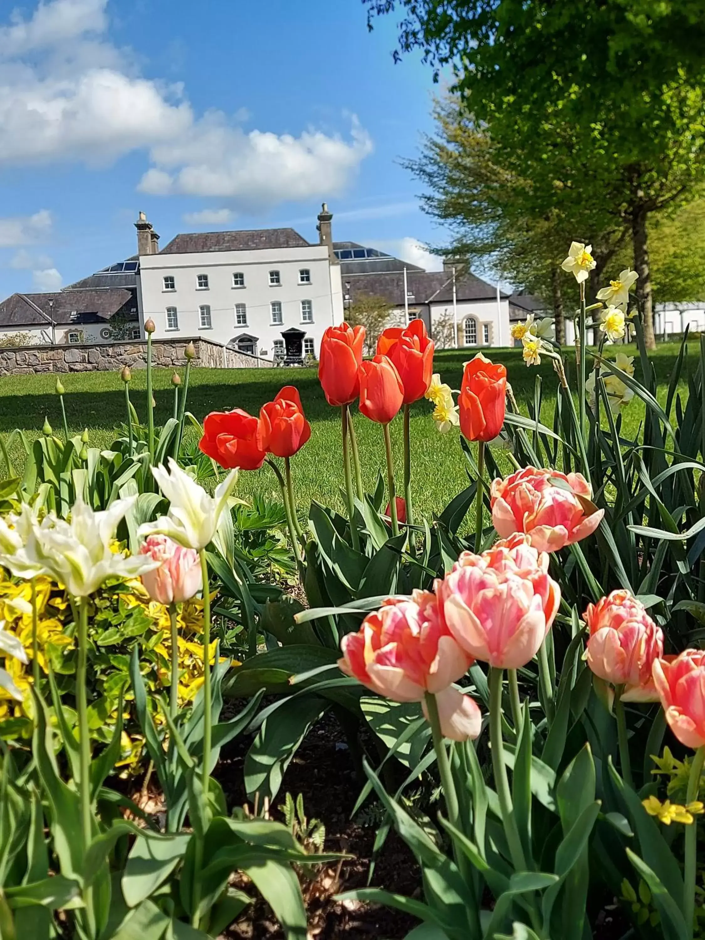 Property building in The Johnstown Estate Property building in The Johnstown Estate