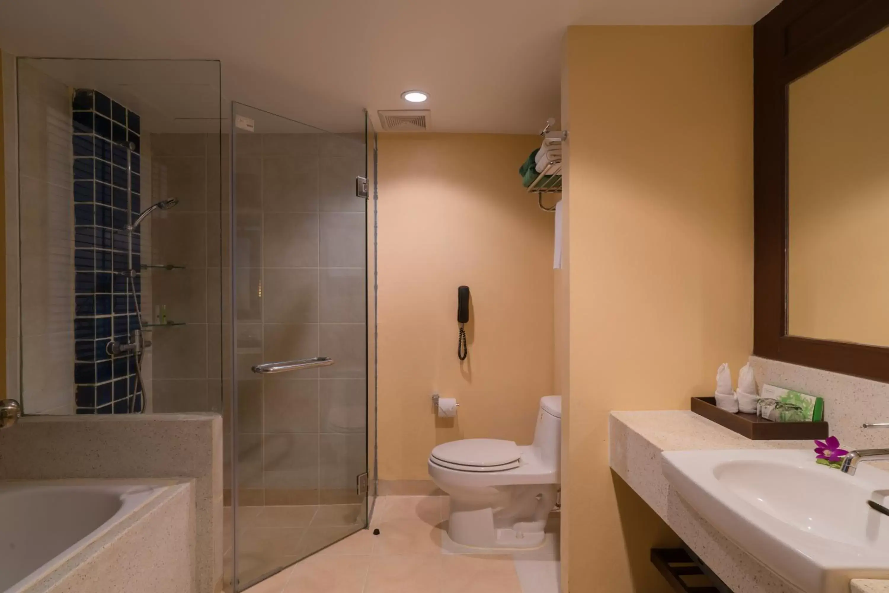 Toilet, Bathroom in The Briza Beach Resort, Khao Lak SHA Extra Plus