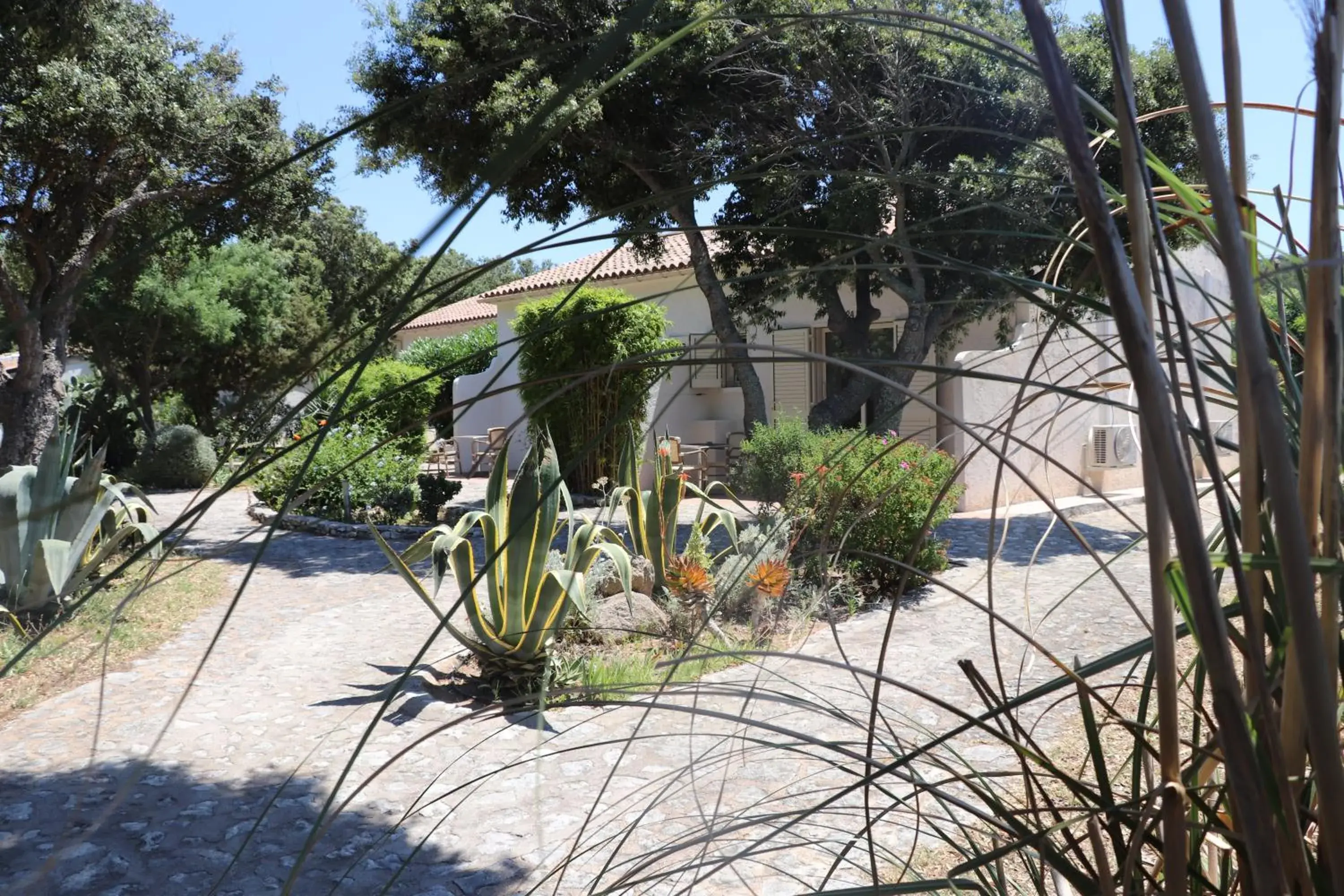 Garden in Hôtel Padolo