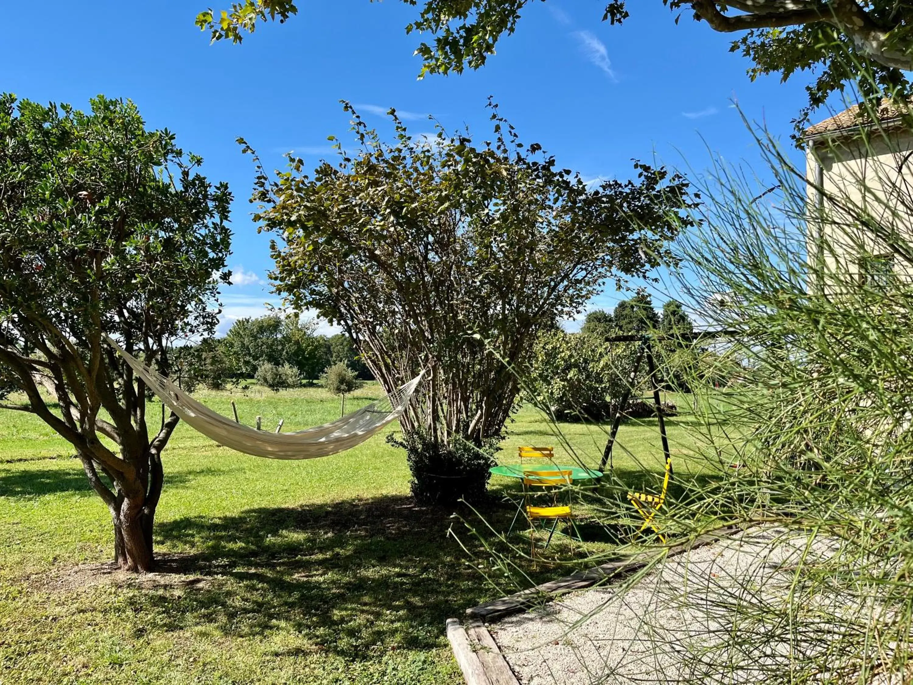 Garden in Le Mas Saint Jacques