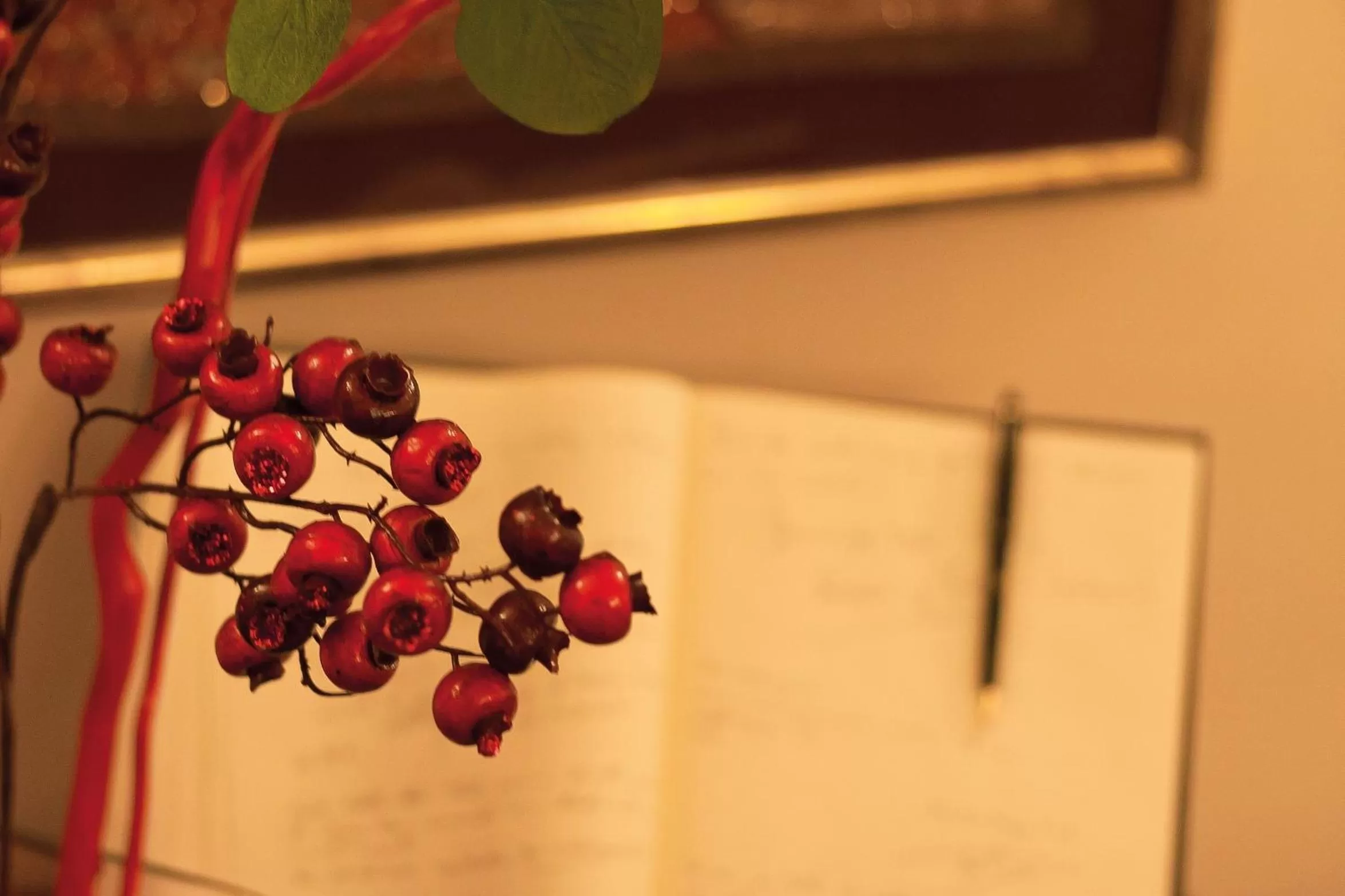 Other in Hotel Novecento