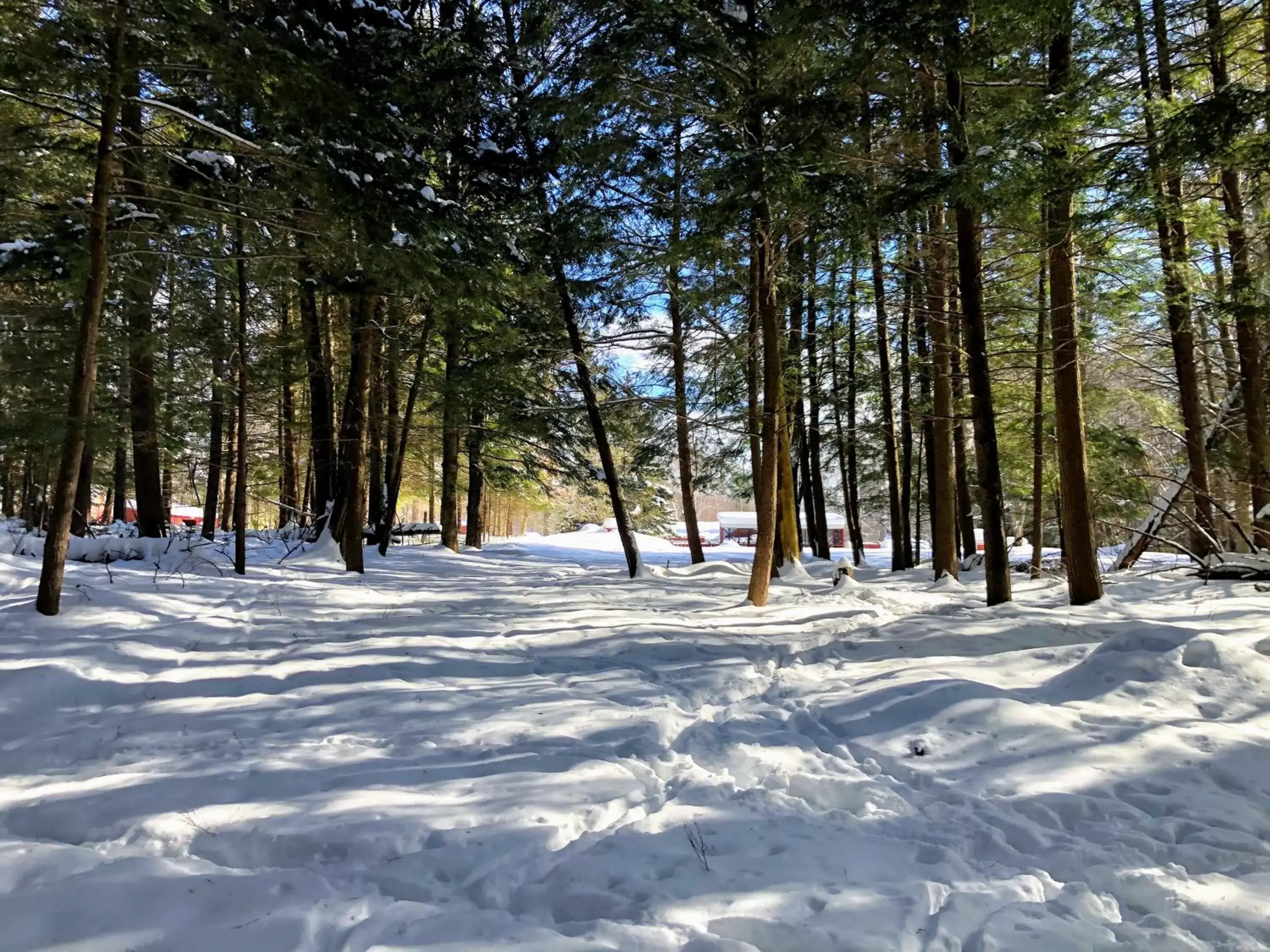 Natural landscape, Winter in The Lorca Adirondacks Motel