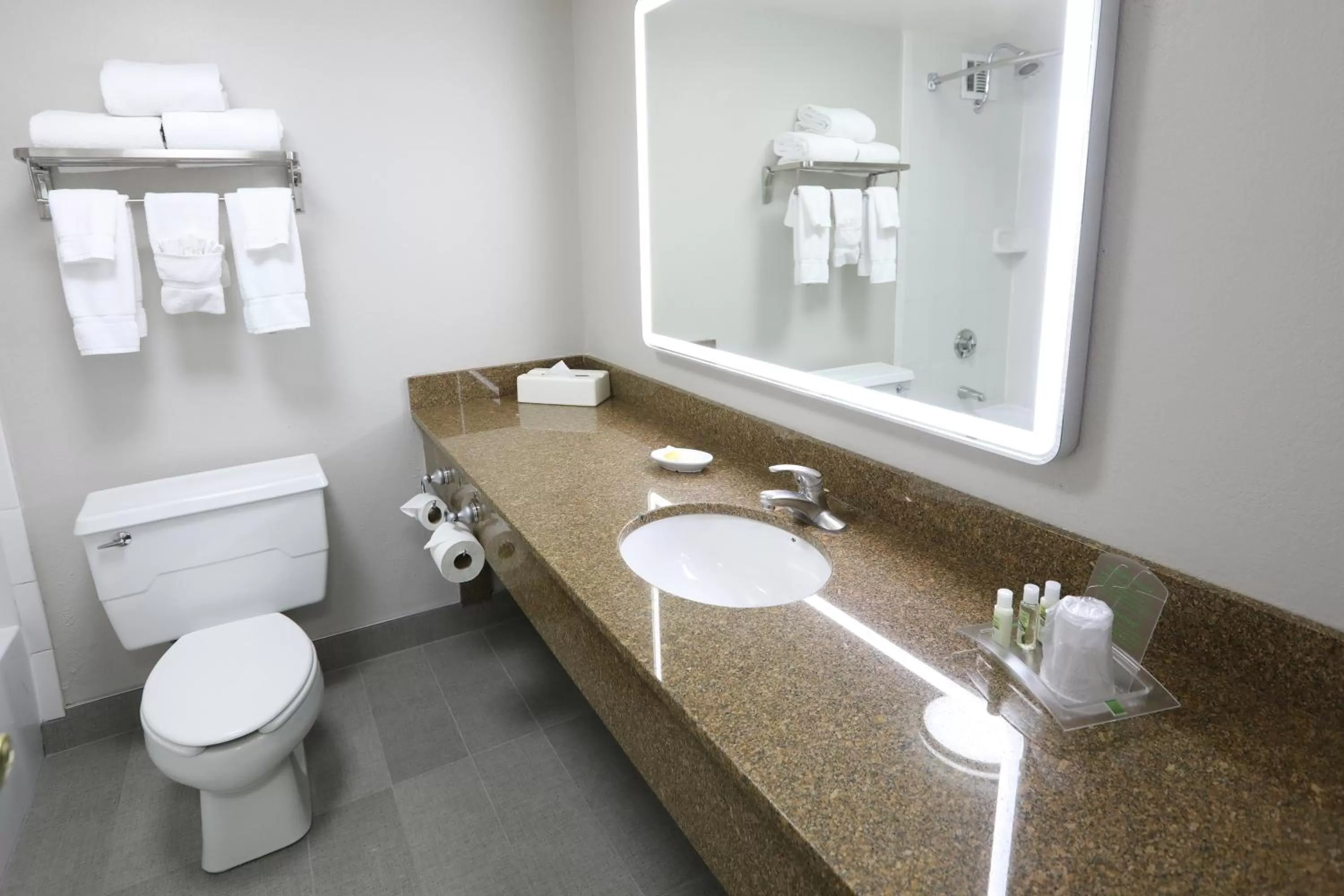 Bathroom in Holiday Inn O'Hare Area by IHG