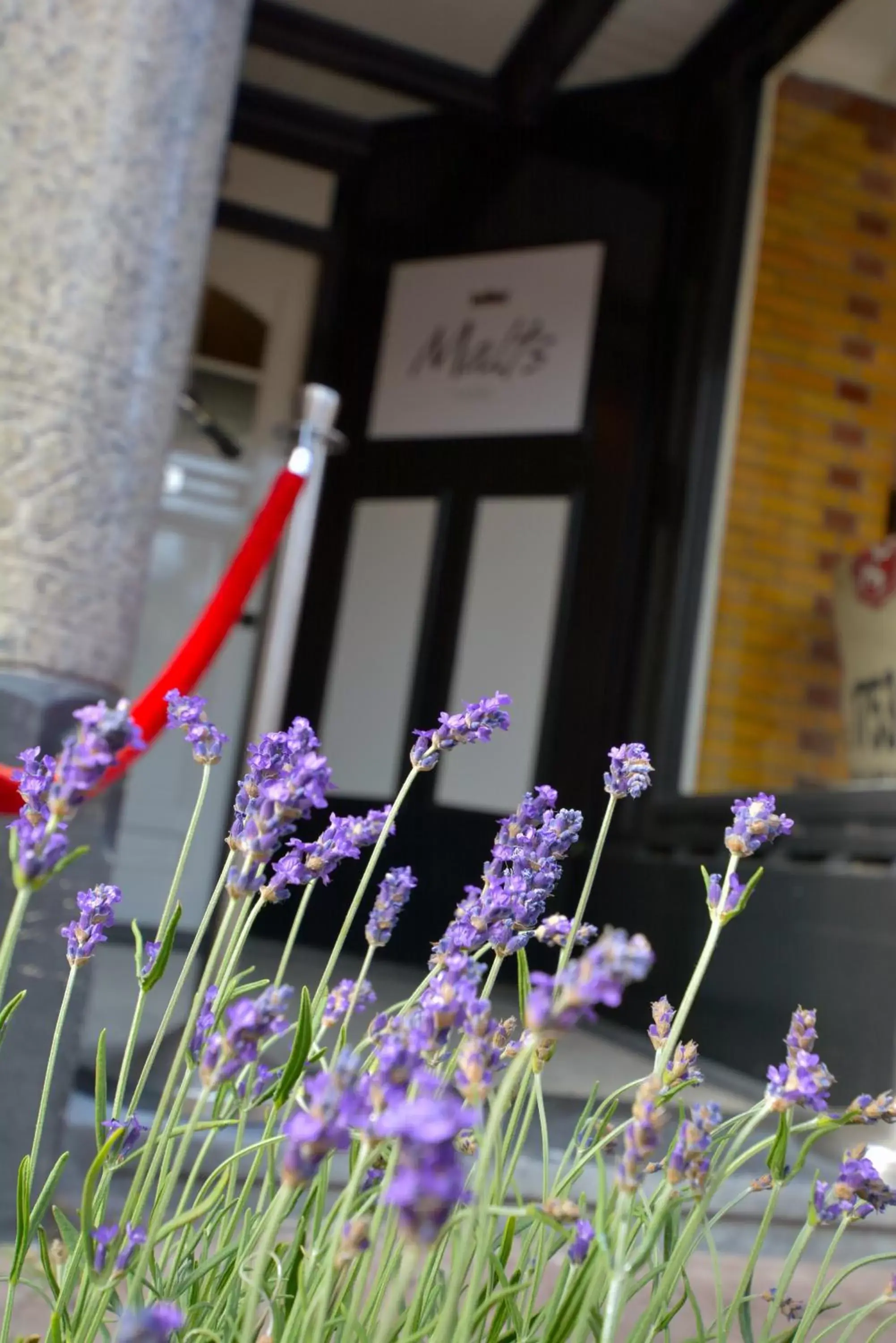 Facade/entrance in Bed & Breakfast Hotel Malts