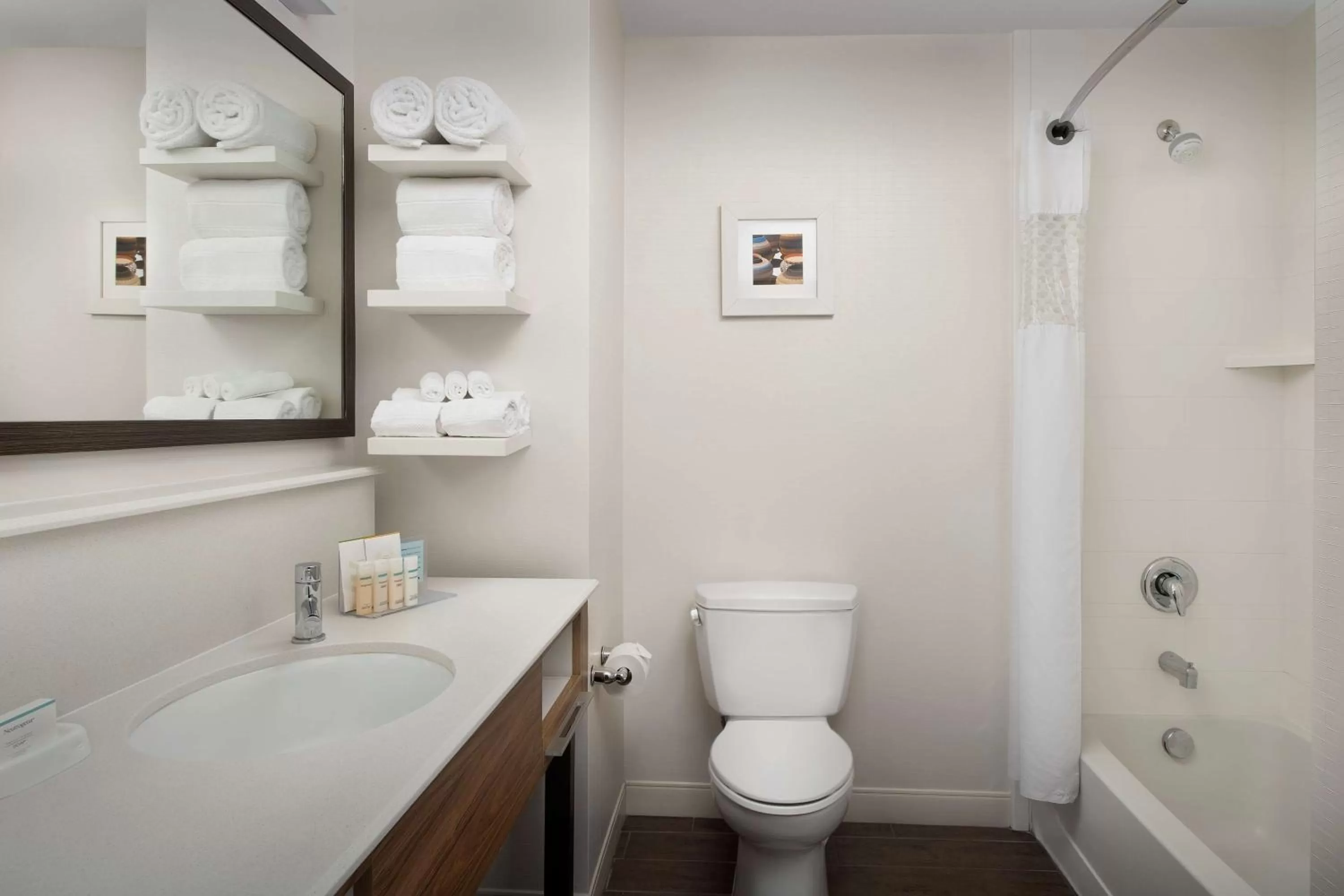 Bathroom in Hampton Inn & Suites Phoenix/Tempe