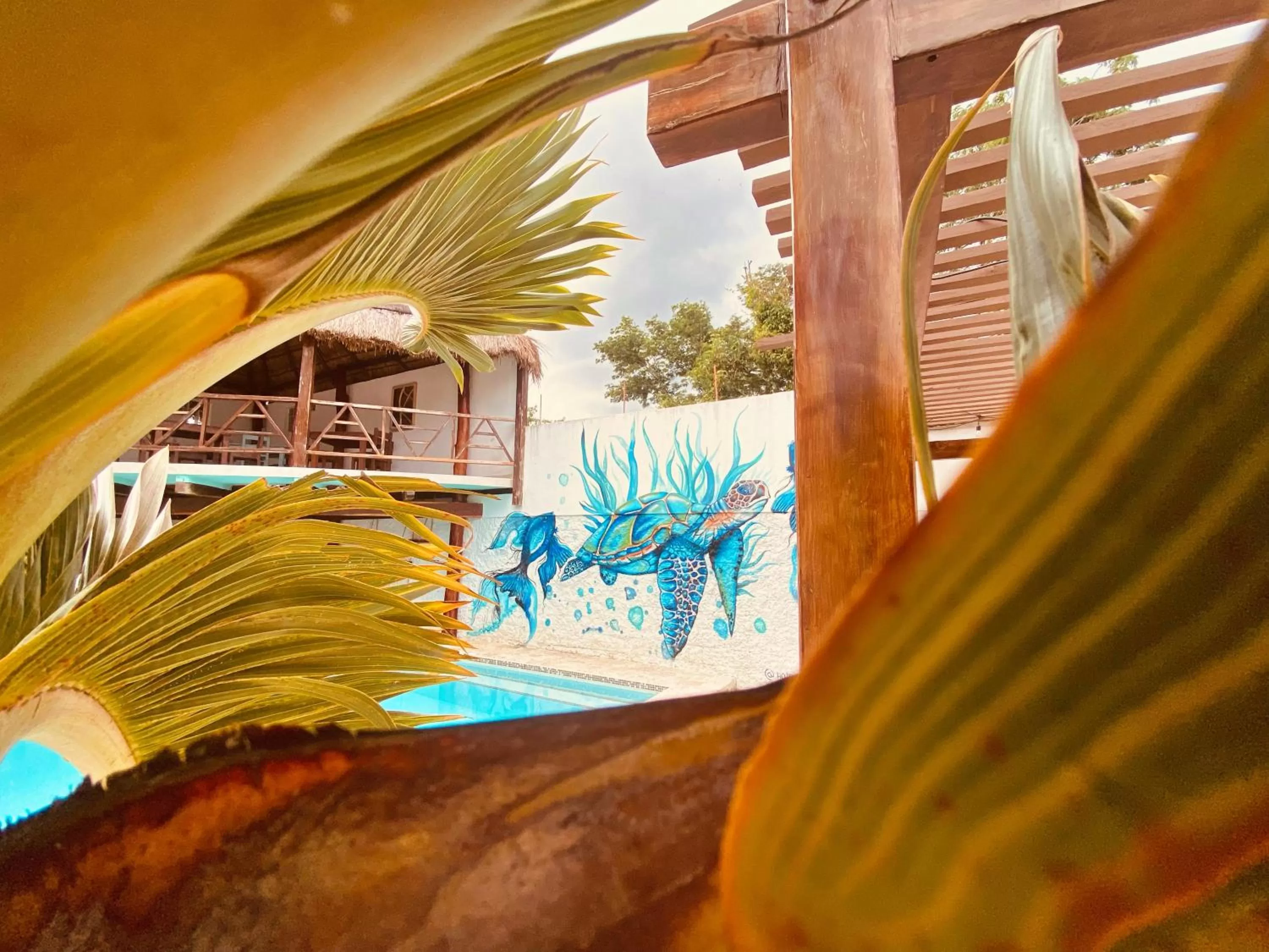 Property building in Howlita Tulum - Adult Only