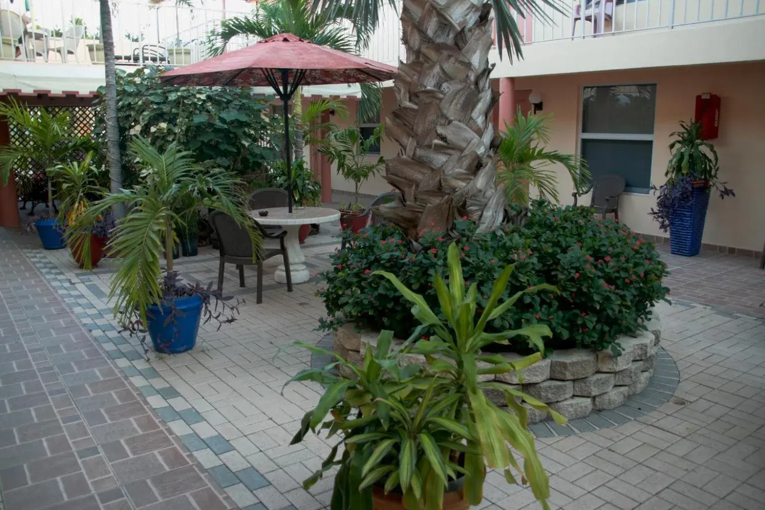 Garden in Lago Mar Motel and Apartments