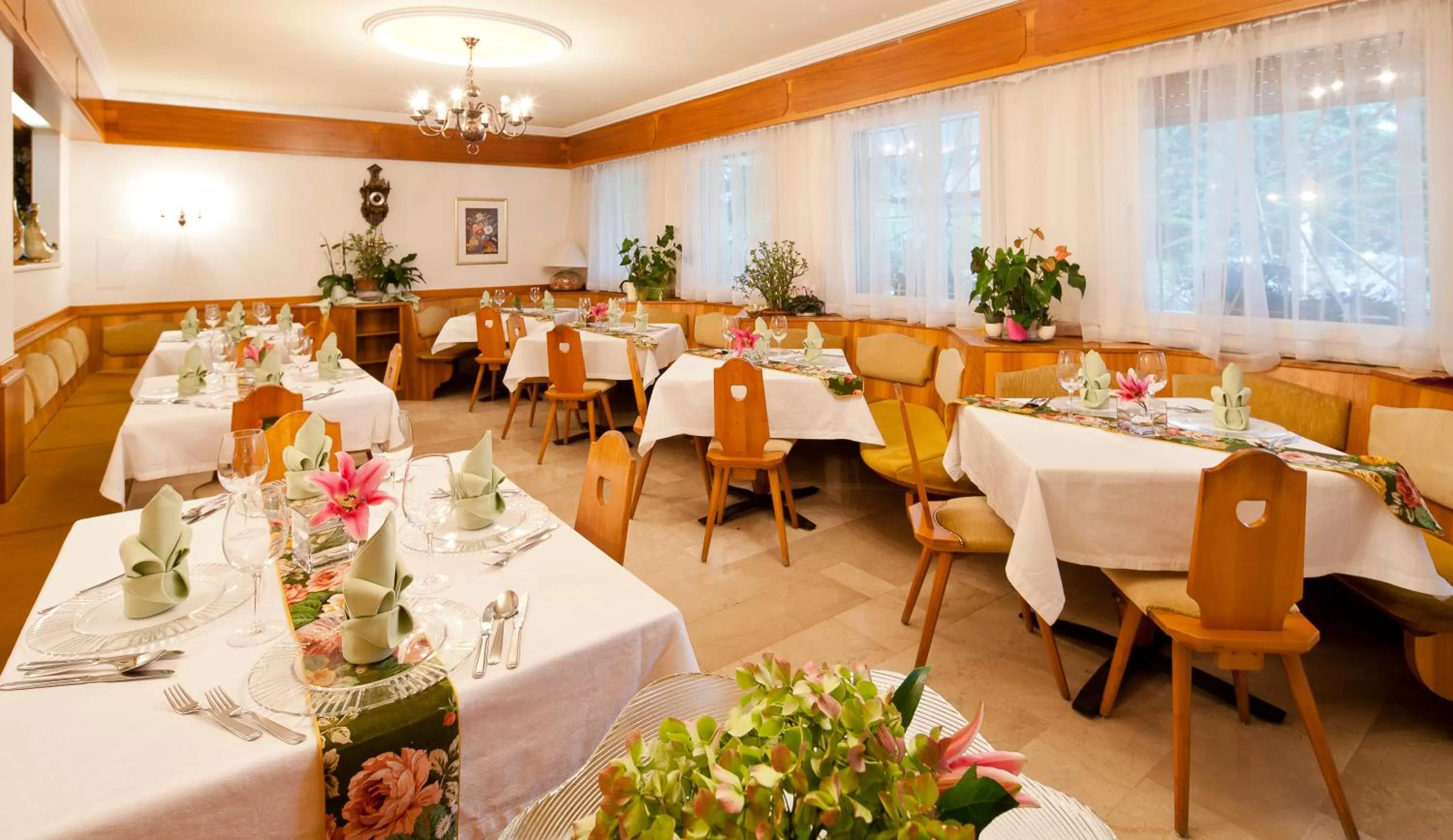 Restaurant/places to eat in Hotel Aster