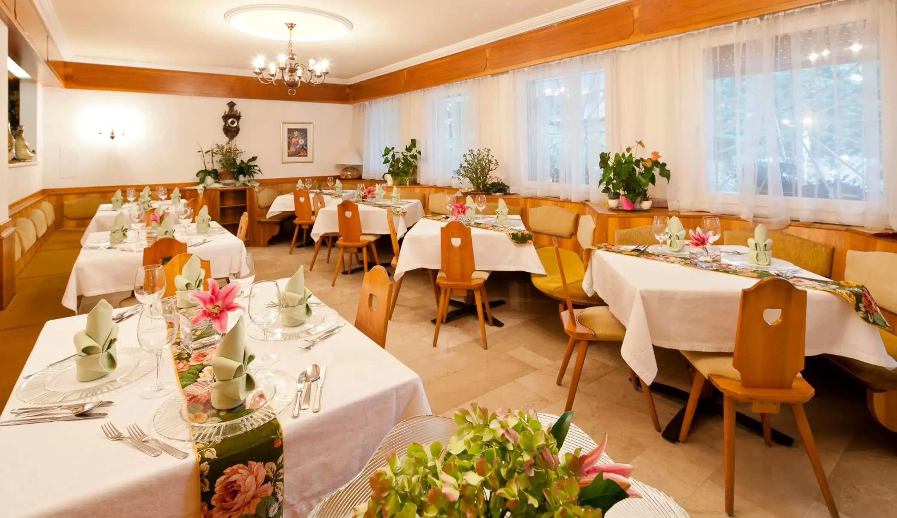 Restaurant/Places to Eat in Hotel Aster