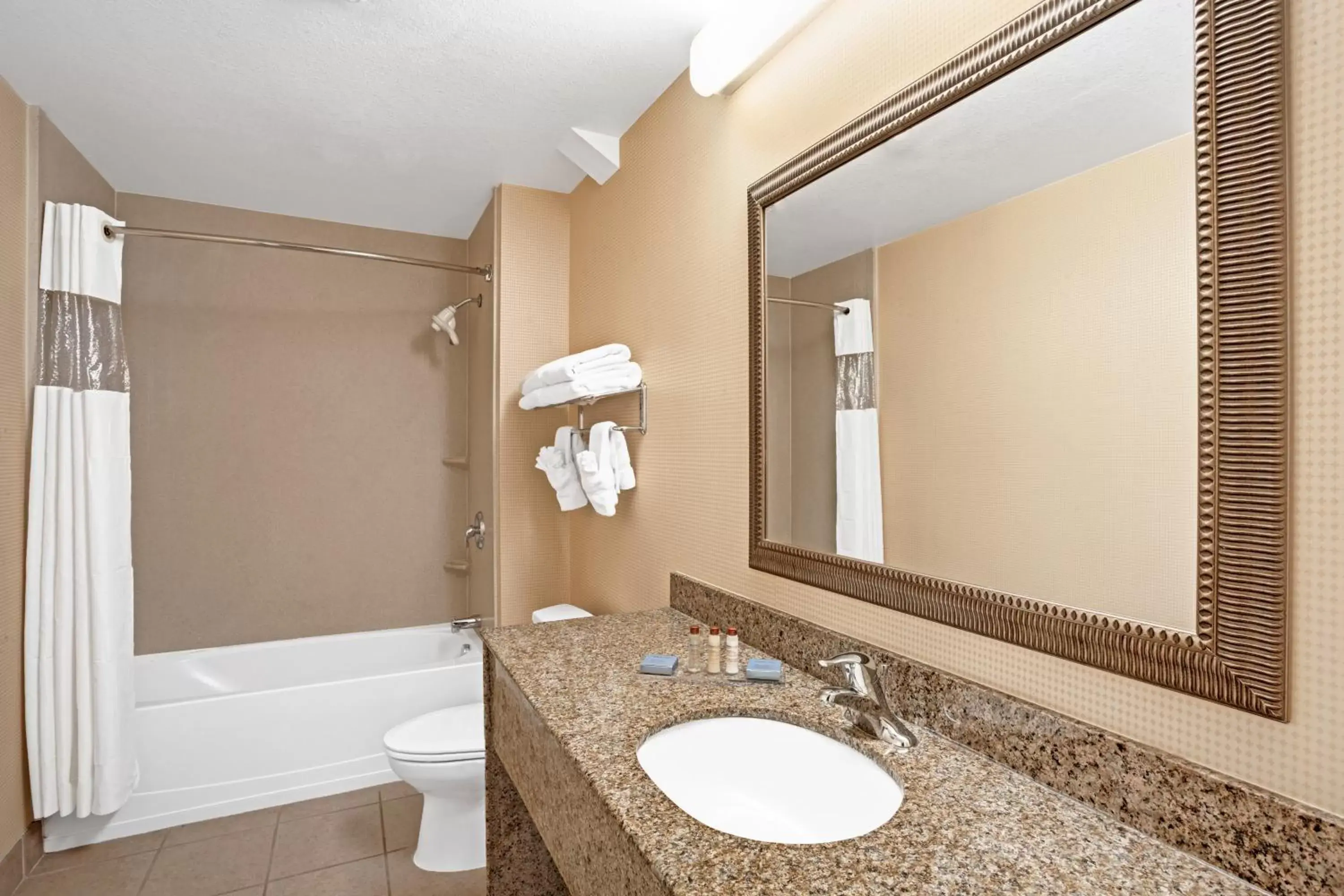 Other, Bathroom in Wingate by Wyndham Atlanta Fairburn