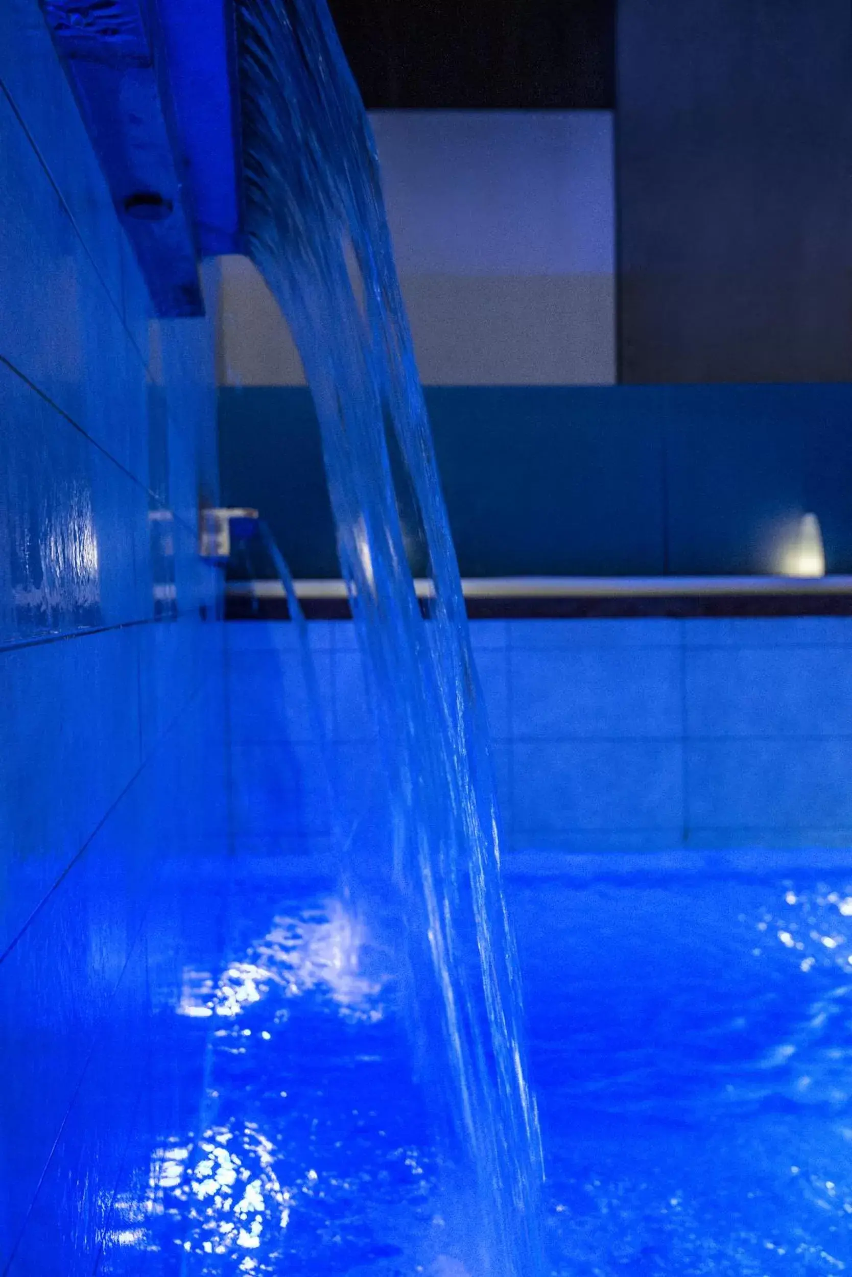 Spa and wellness centre/facilities, Swimming Pool in Mercure Ajaccio