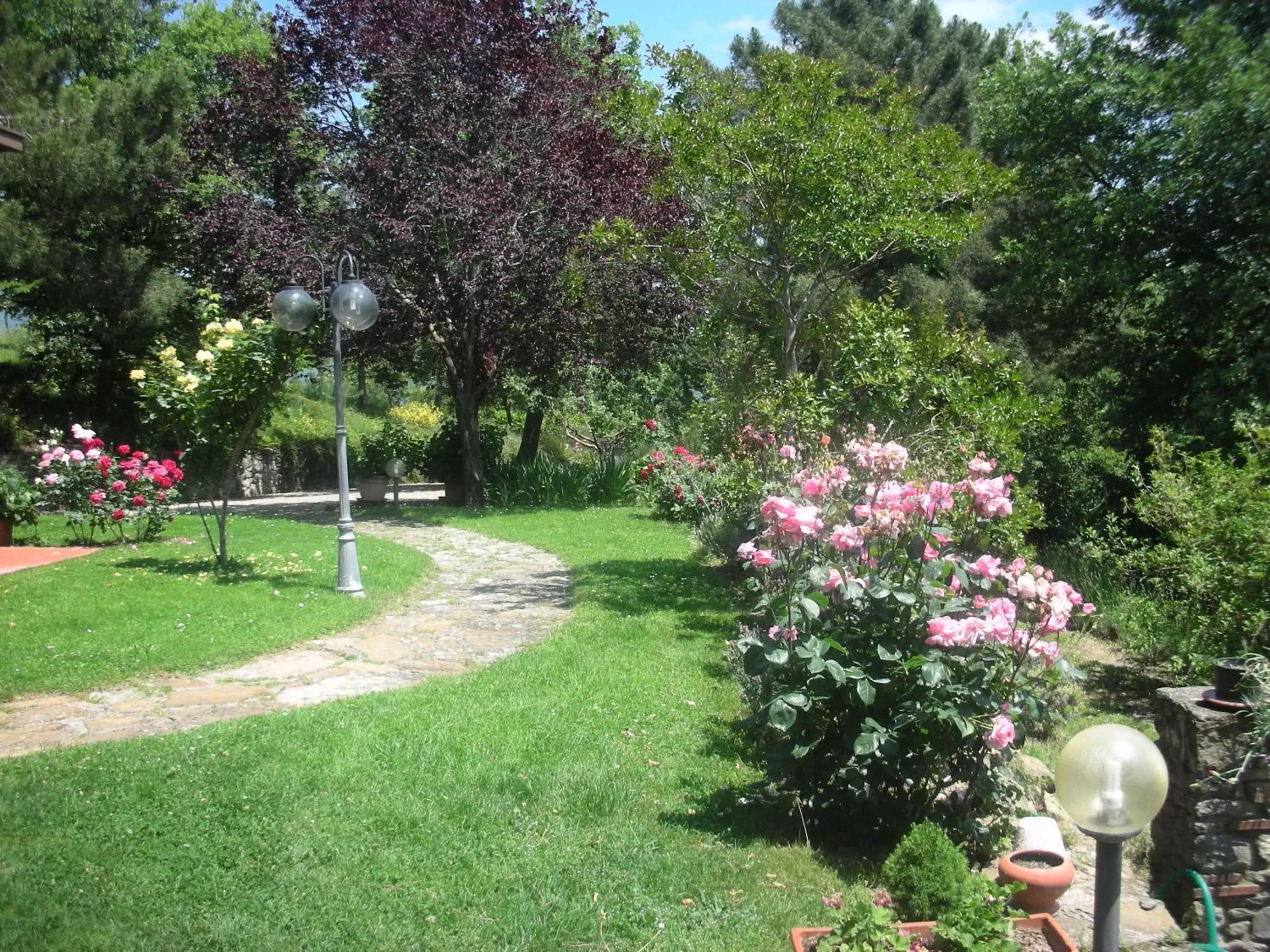 Garden in Villaspino