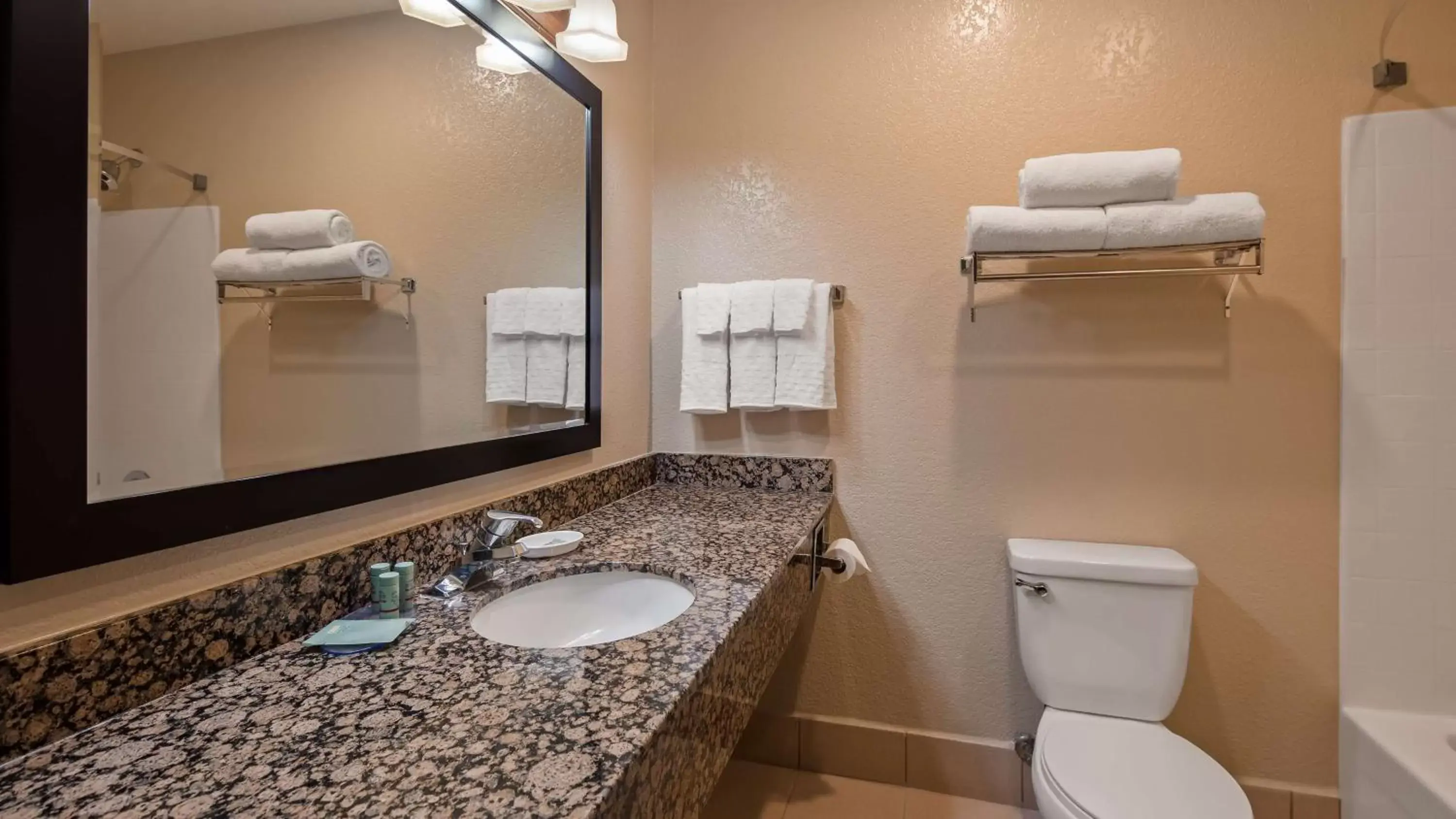 Bathroom in Best Western Apache Junction Inn